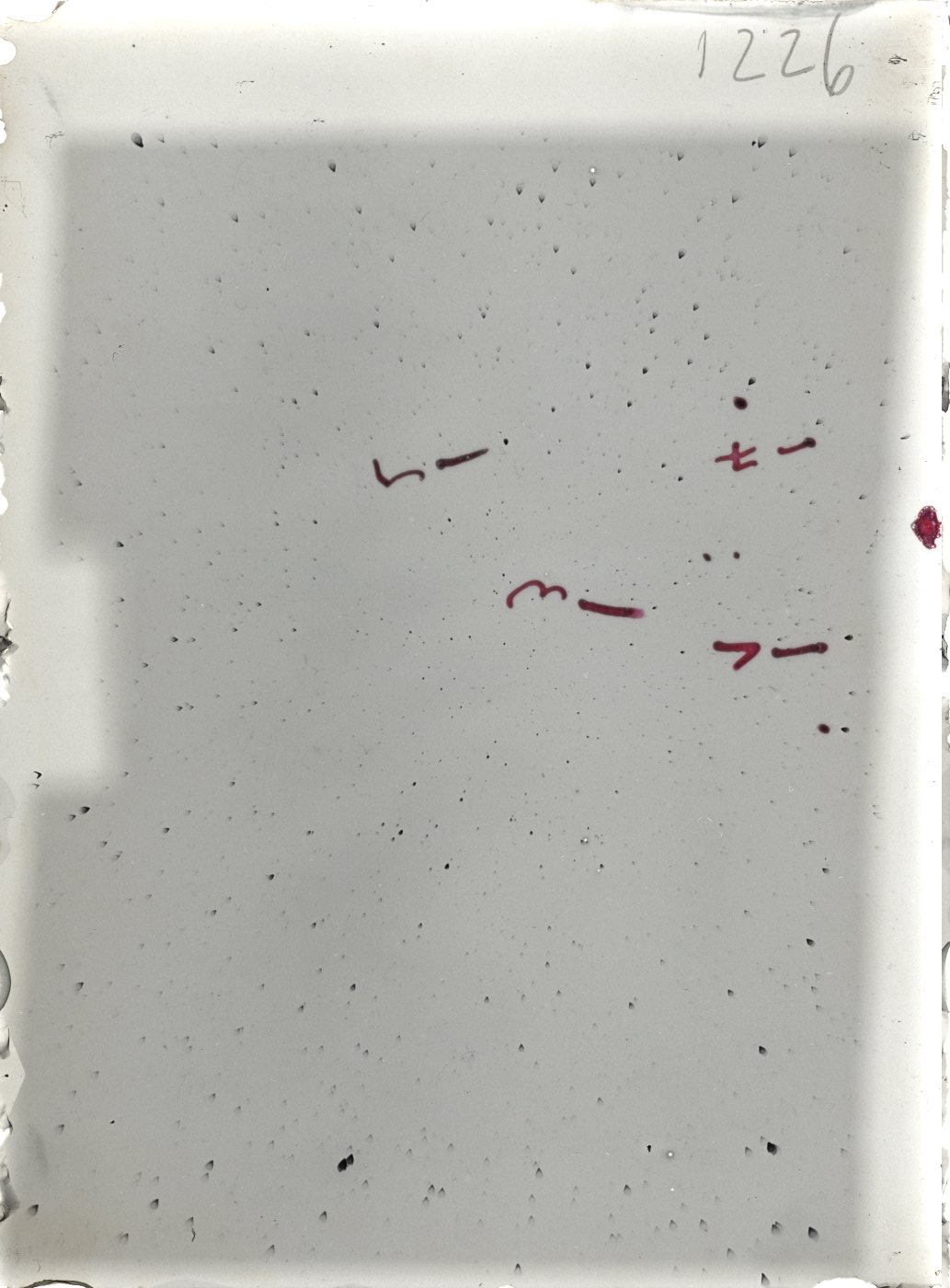 Plate preview
