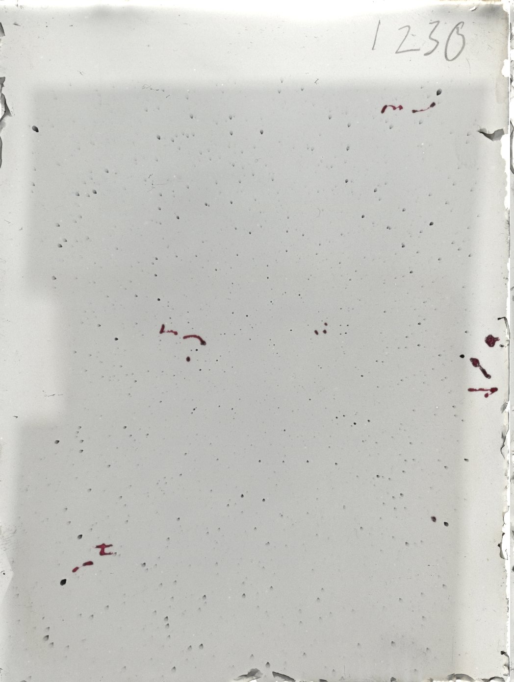 Plate preview