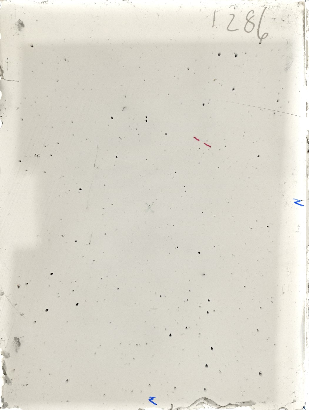 Plate preview