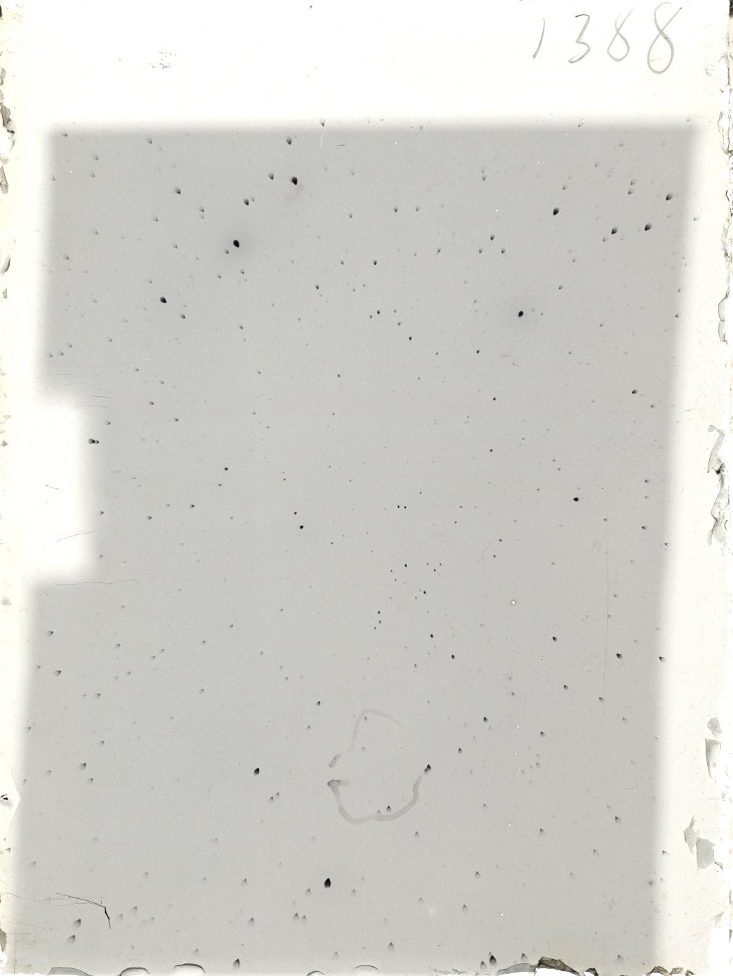 Plate preview