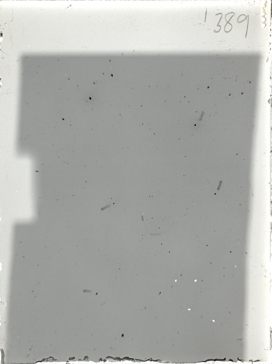 Plate preview