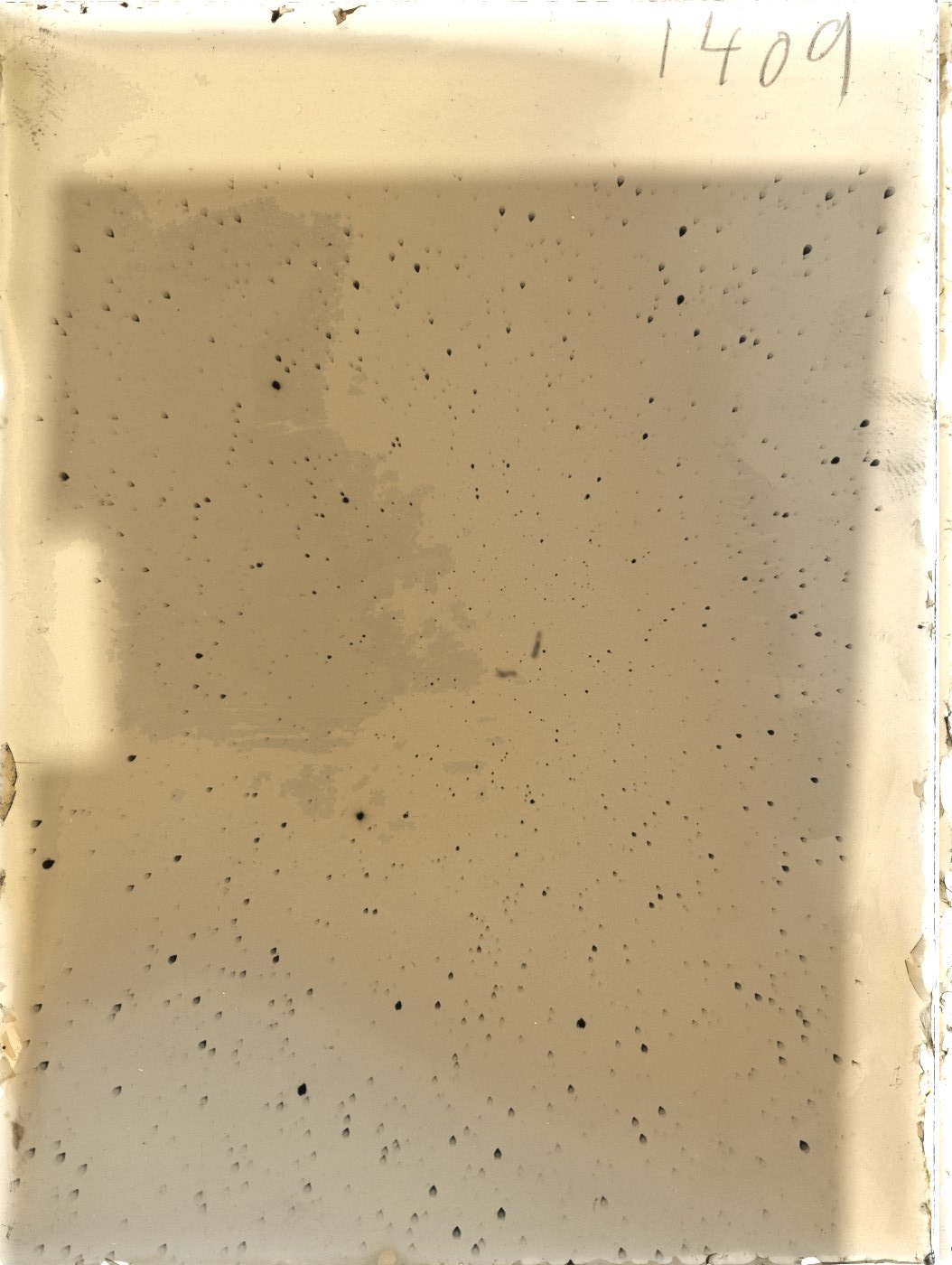 Plate preview
