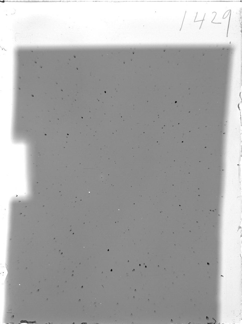 Plate preview