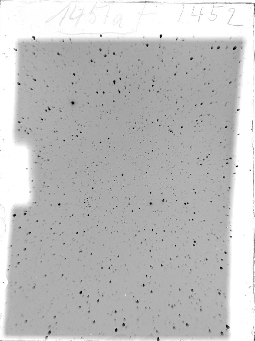 Plate preview