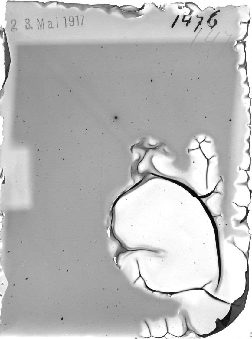 Plate preview