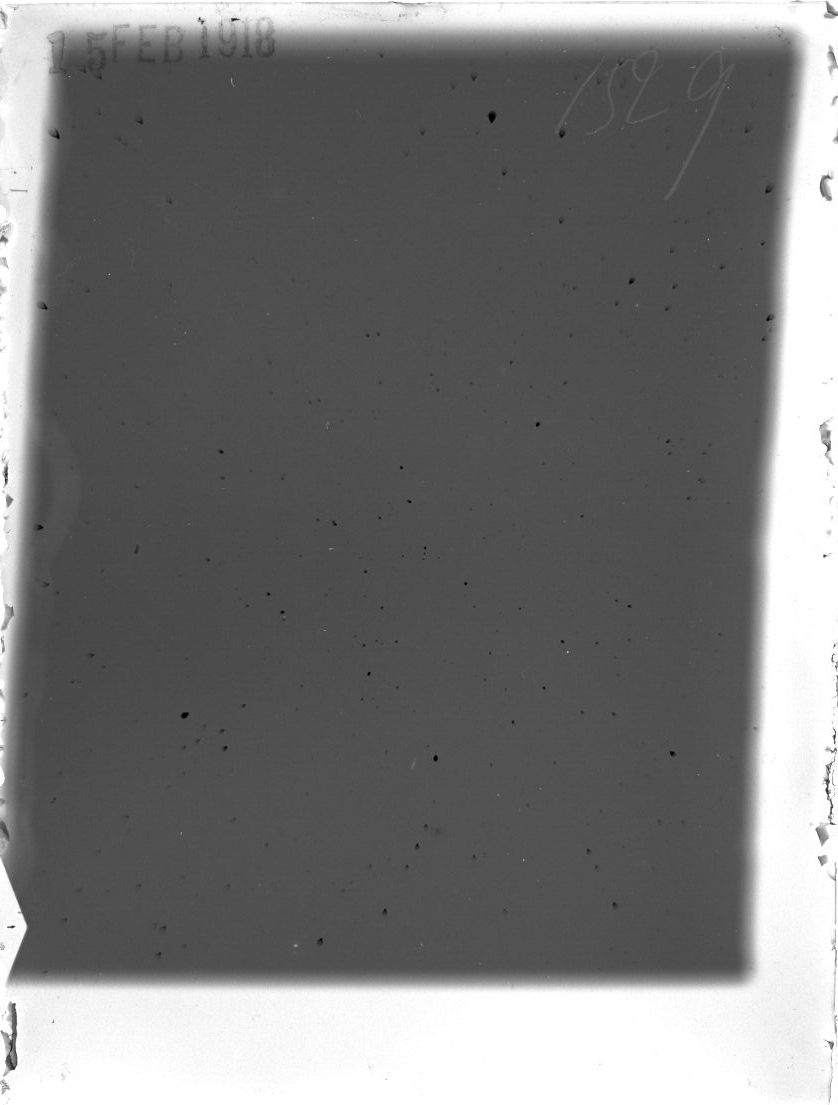 Plate preview