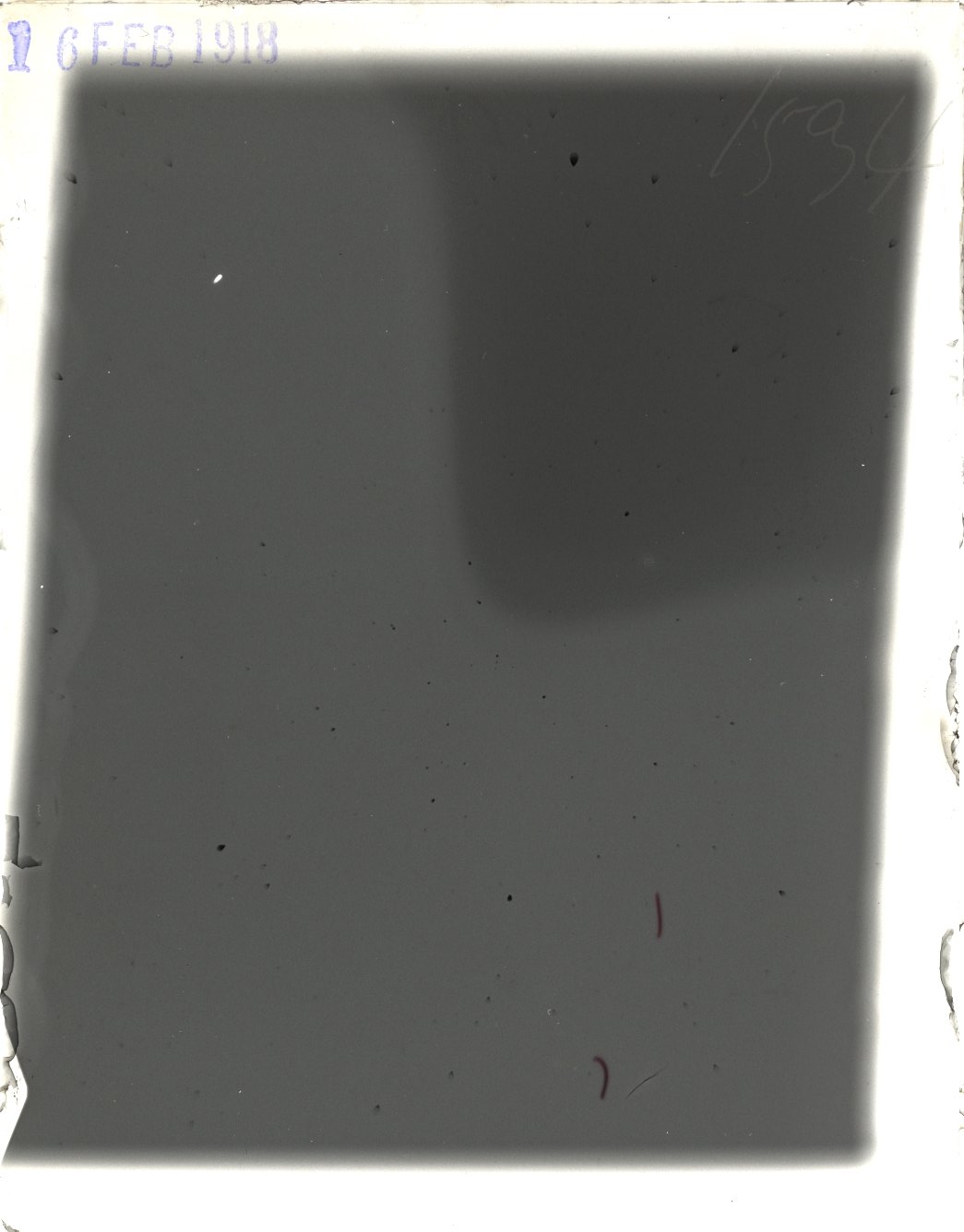 Plate preview