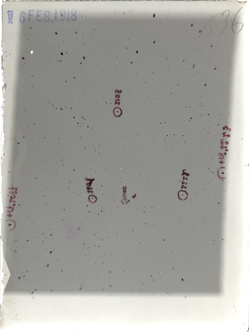 Plate preview