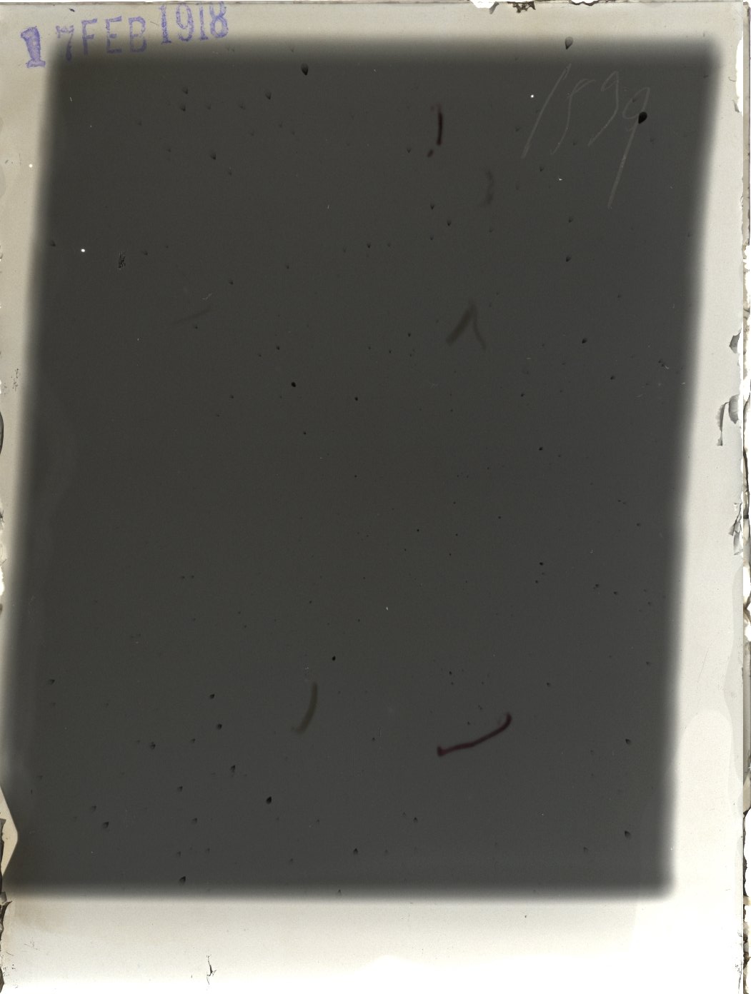 Plate preview