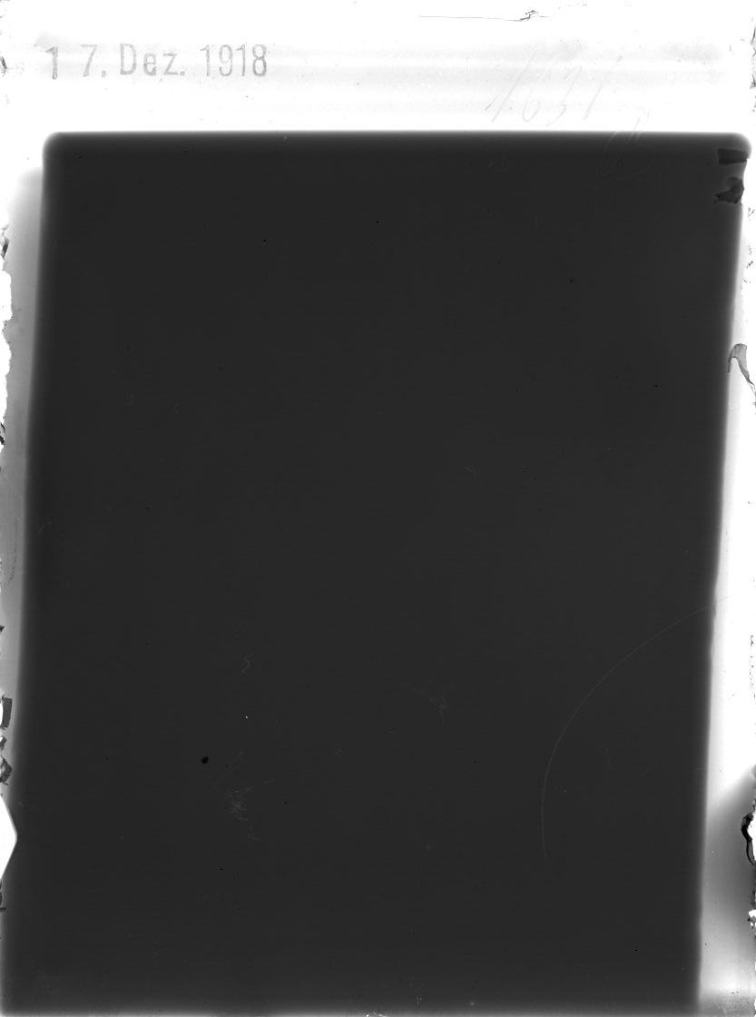 Plate preview