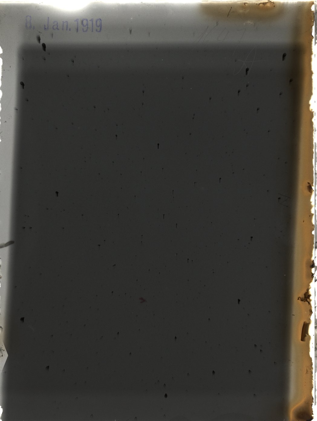 Plate preview