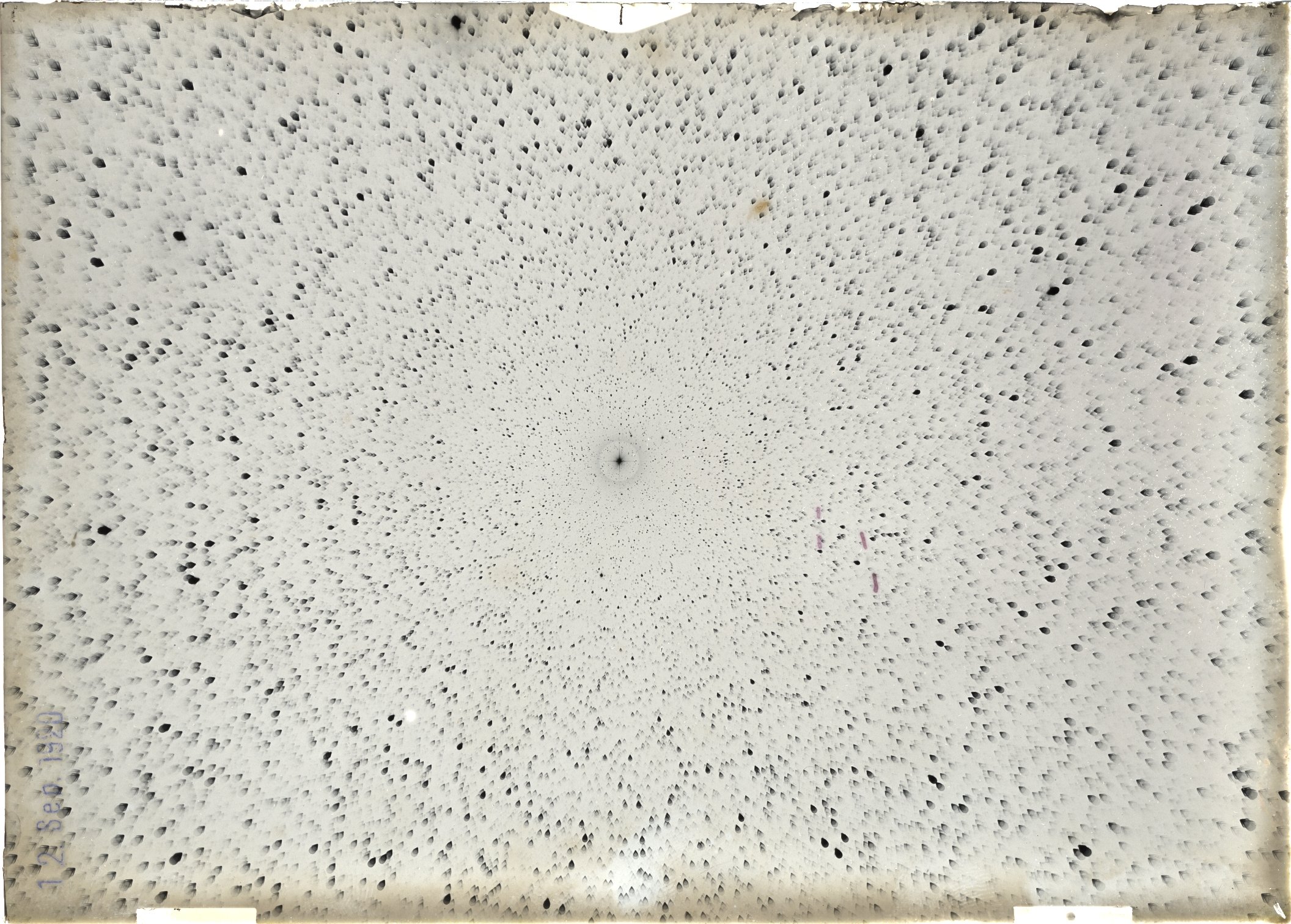 Plate preview
