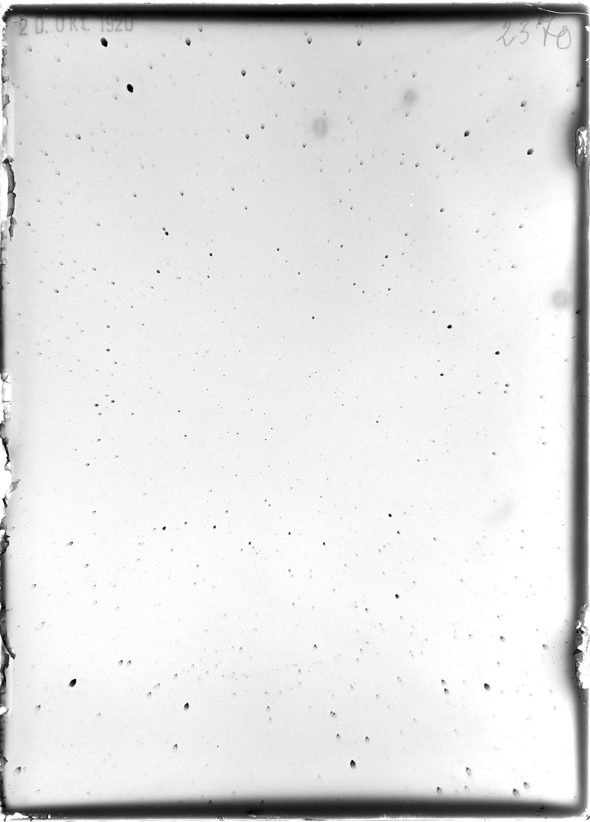 Plate preview