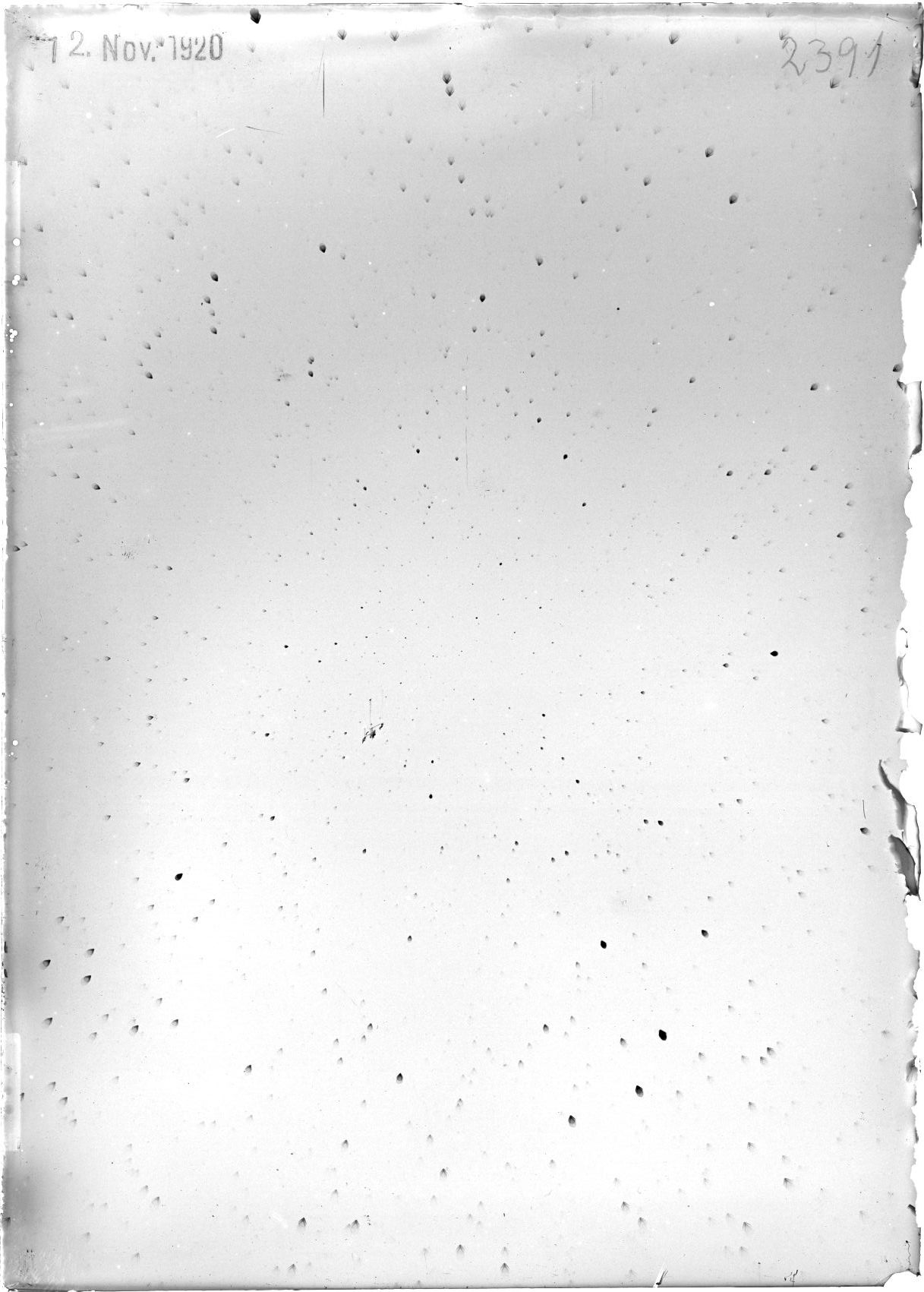 Plate preview