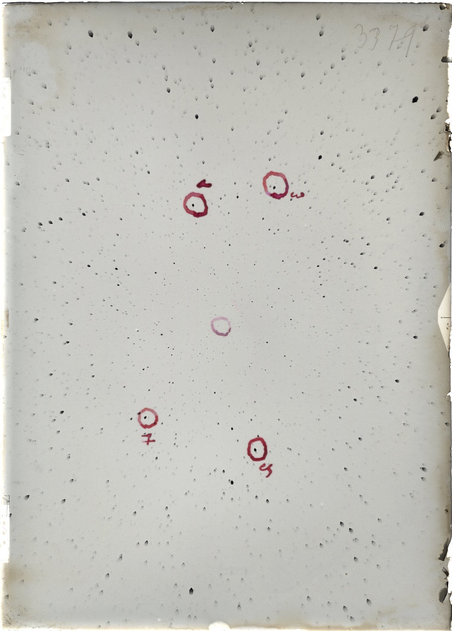 Plate preview
