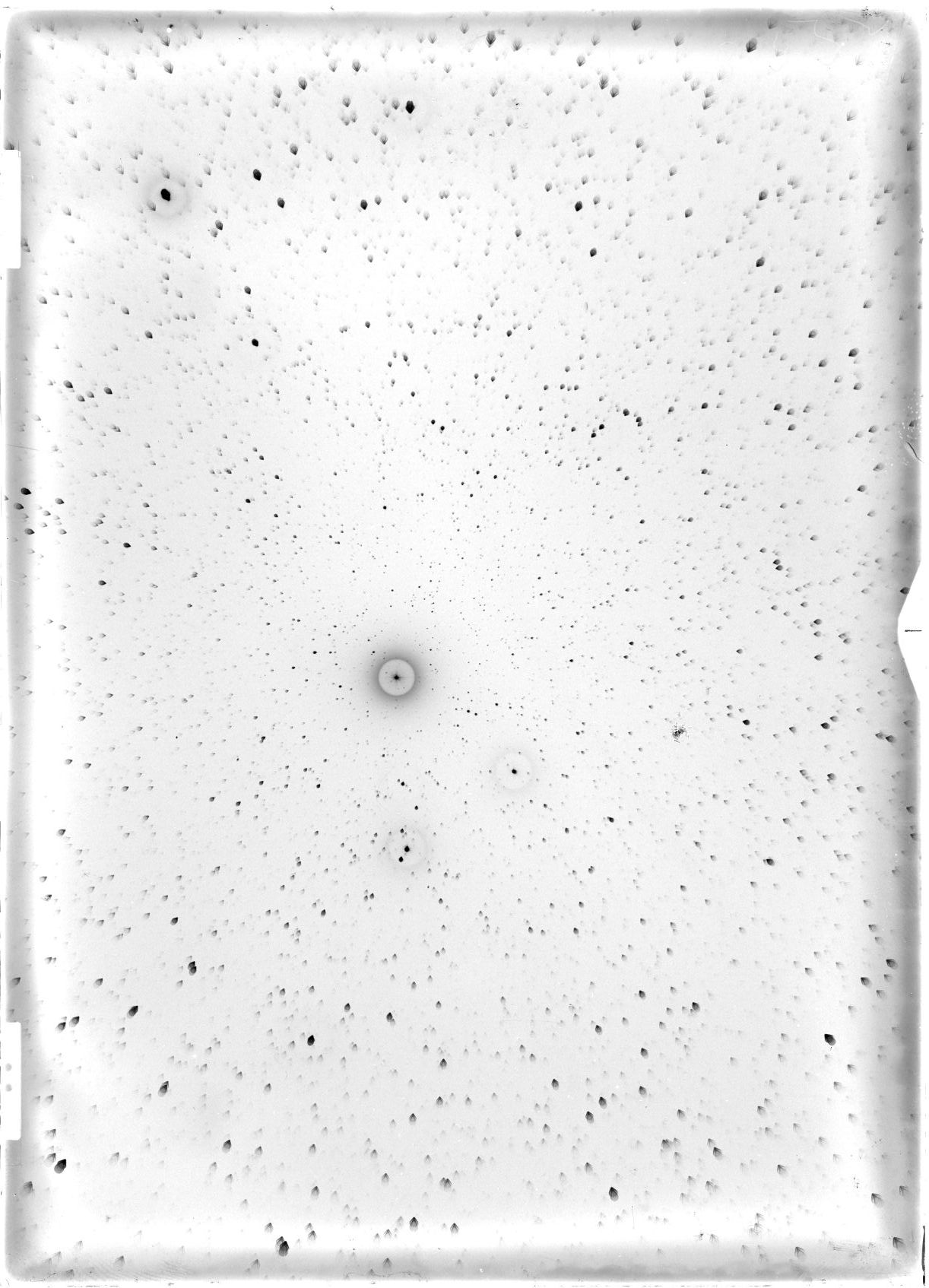 Plate preview