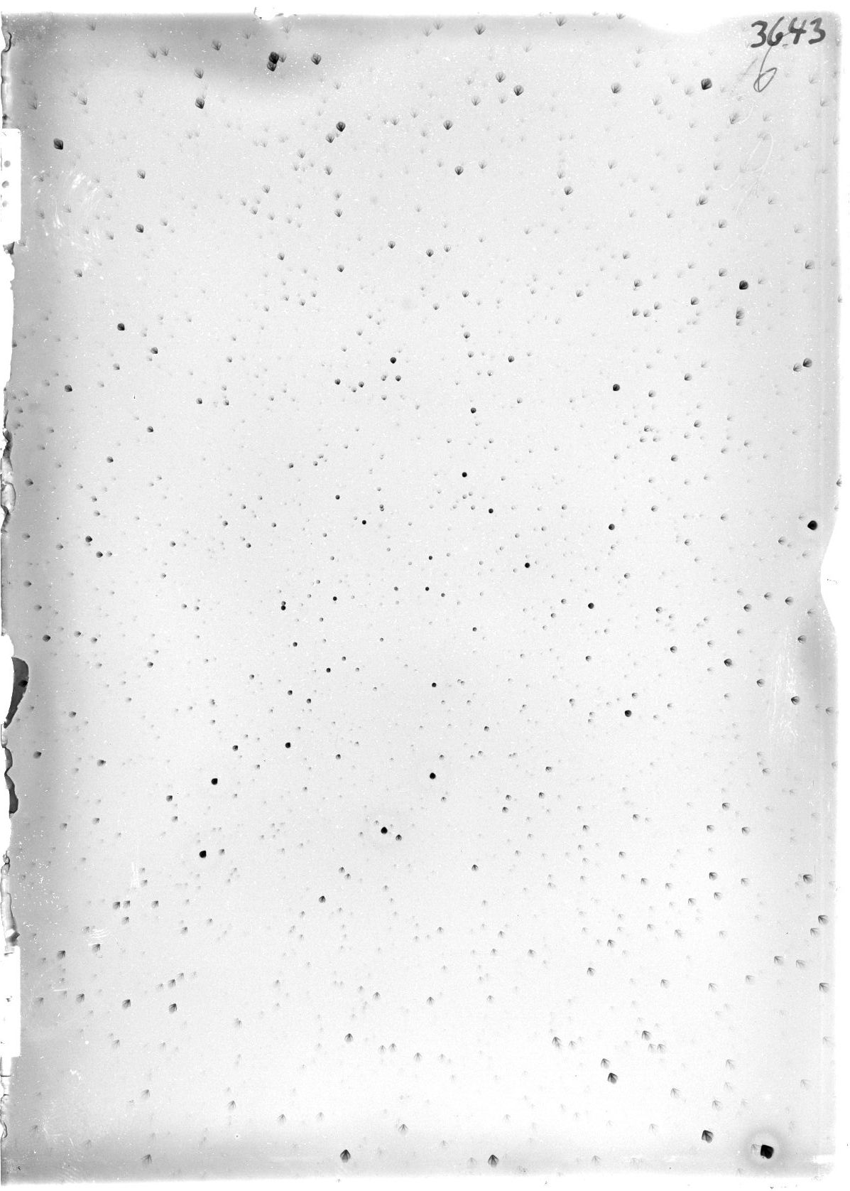 Plate preview