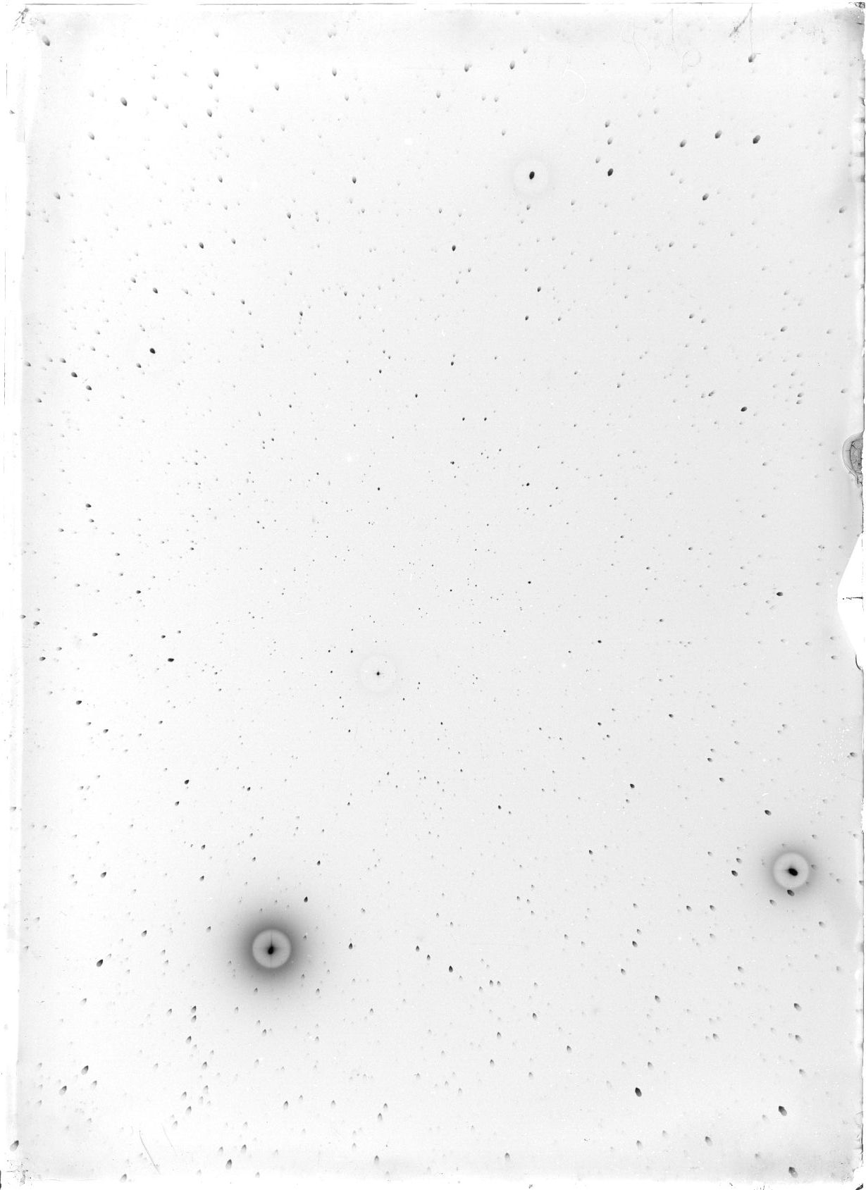 Plate preview