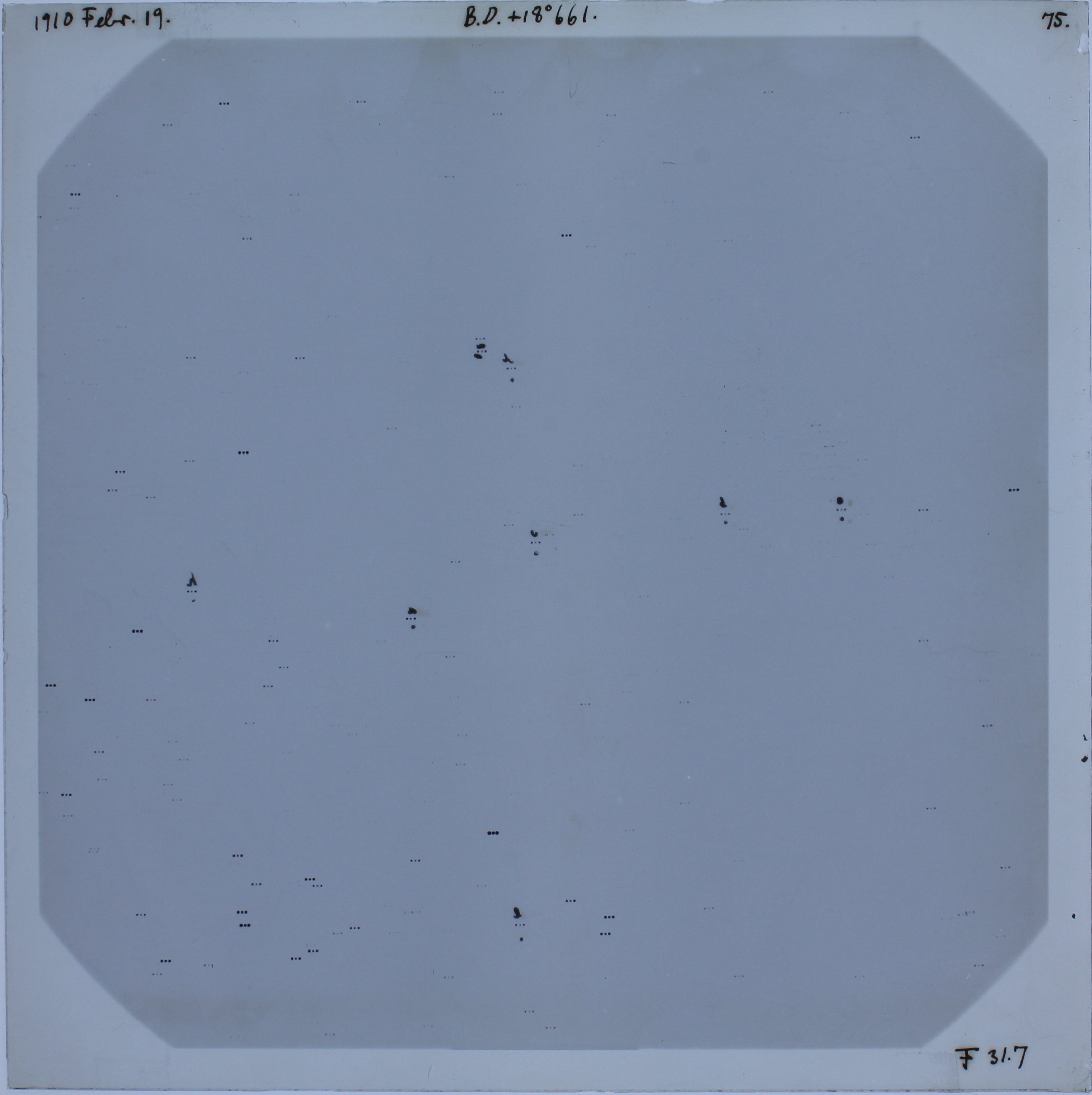 Plate preview