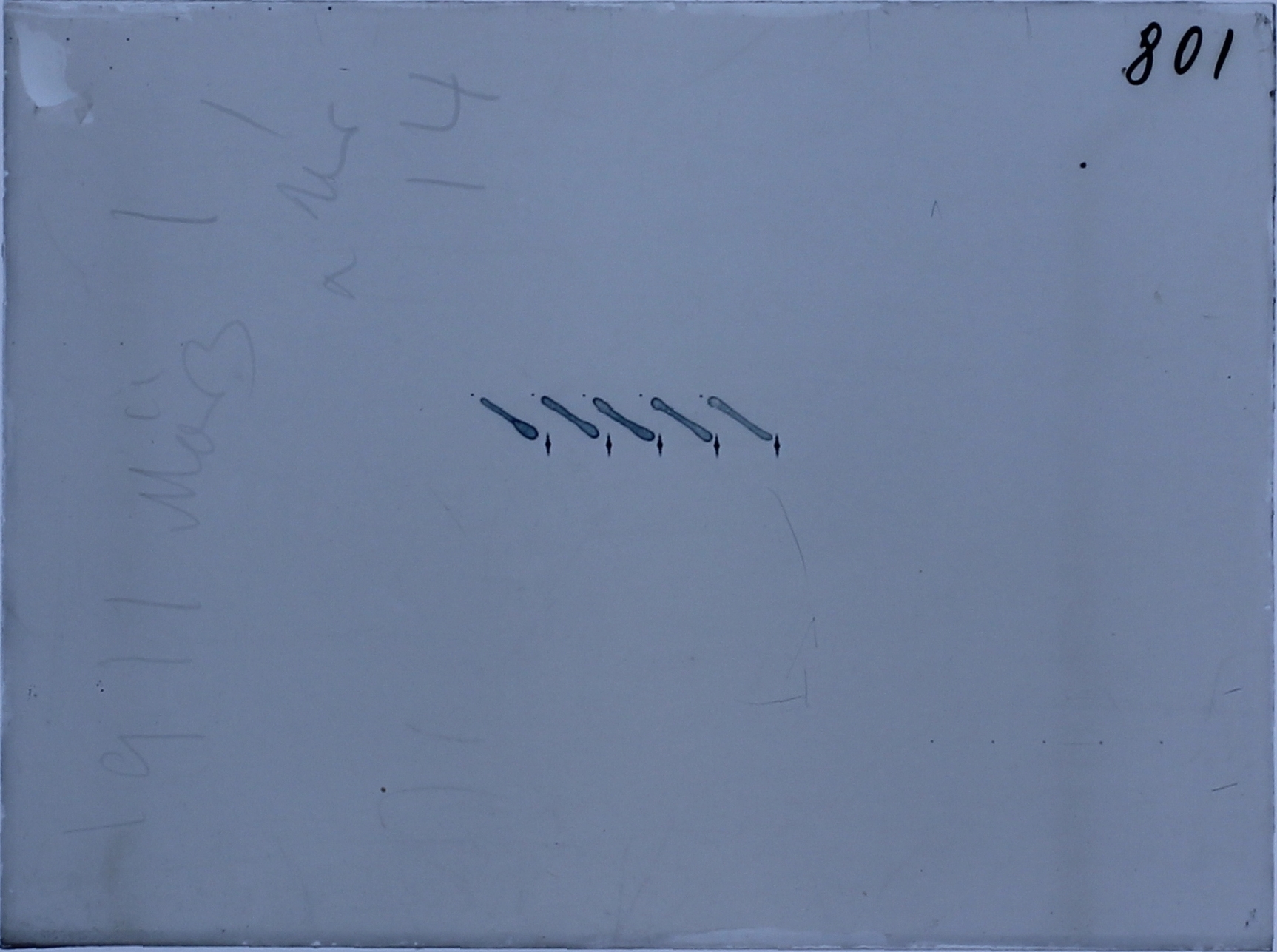Plate preview