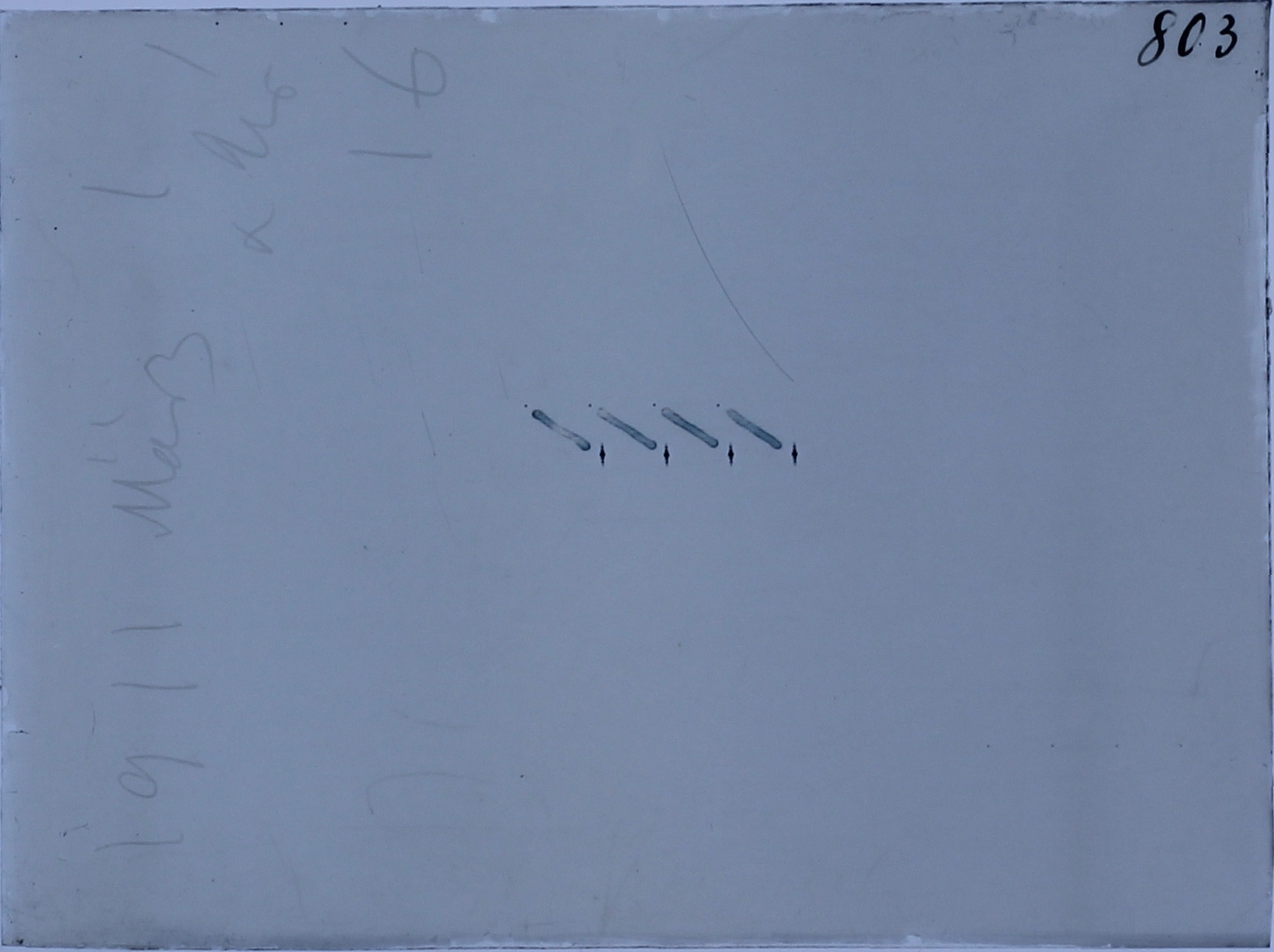 Plate preview
