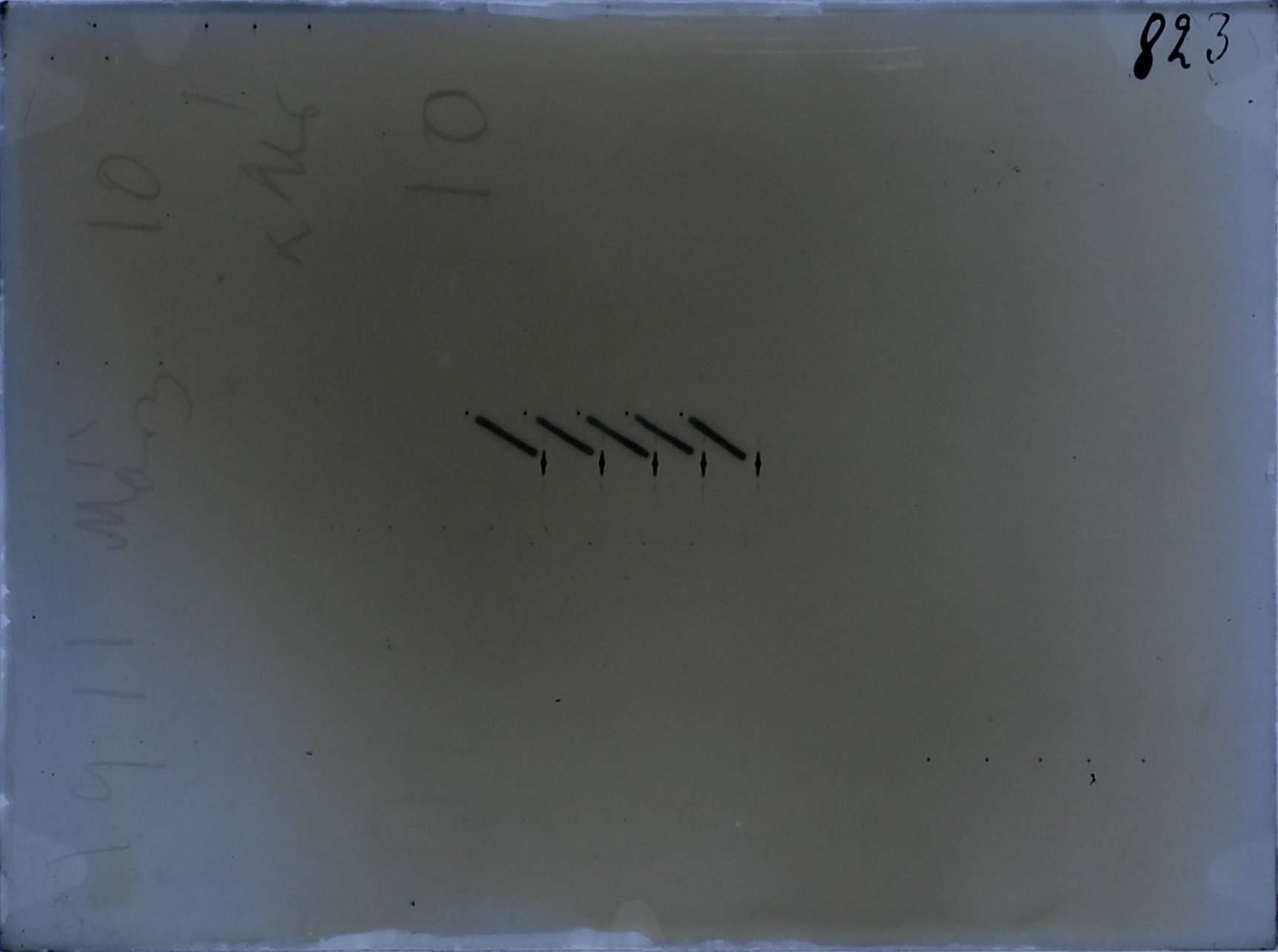 Plate preview