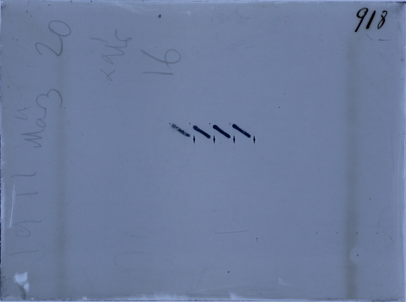 Plate preview