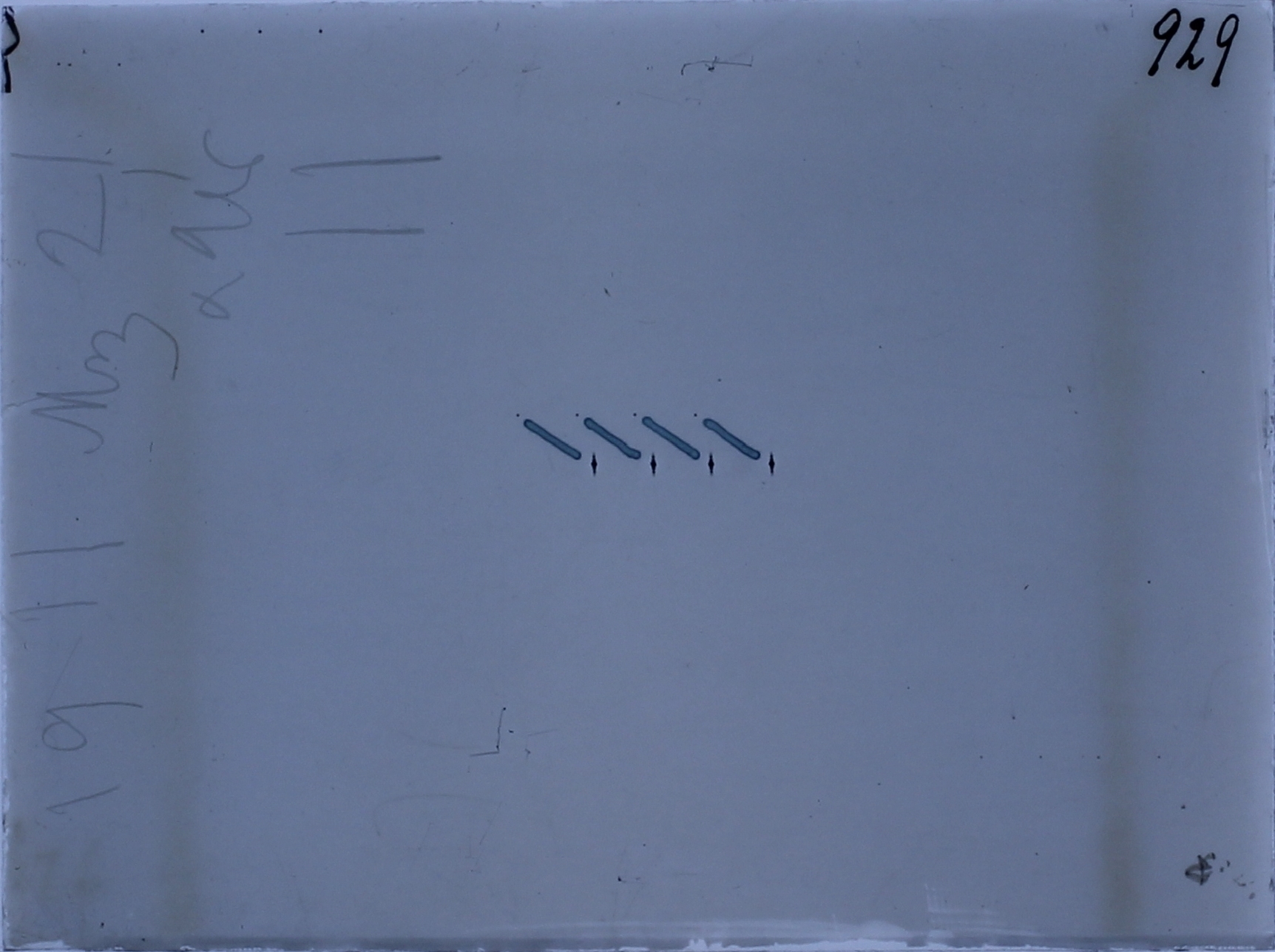 Plate preview