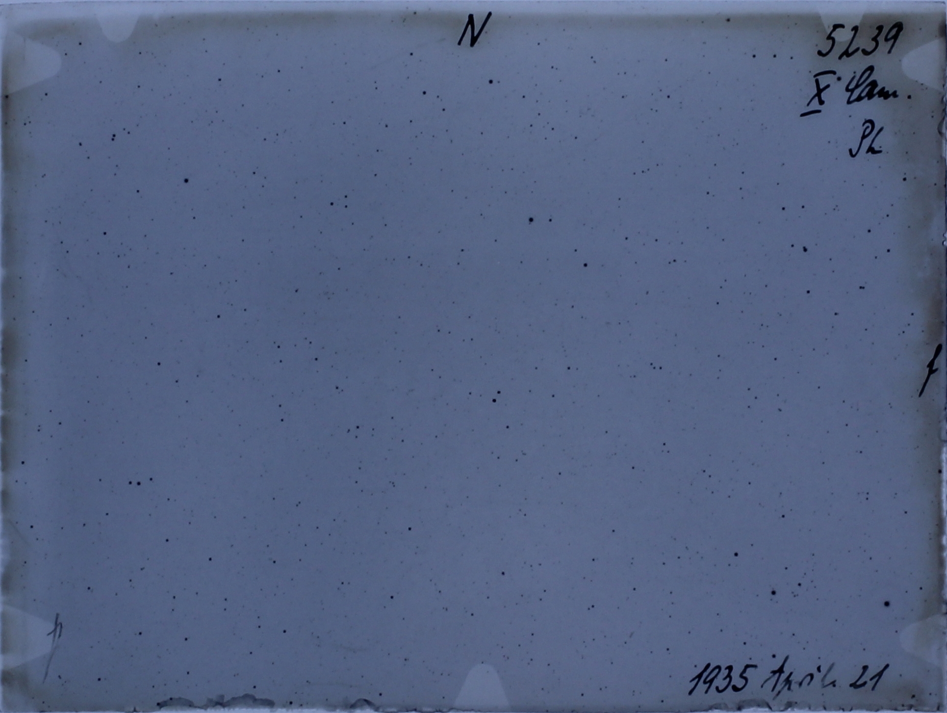 Plate preview