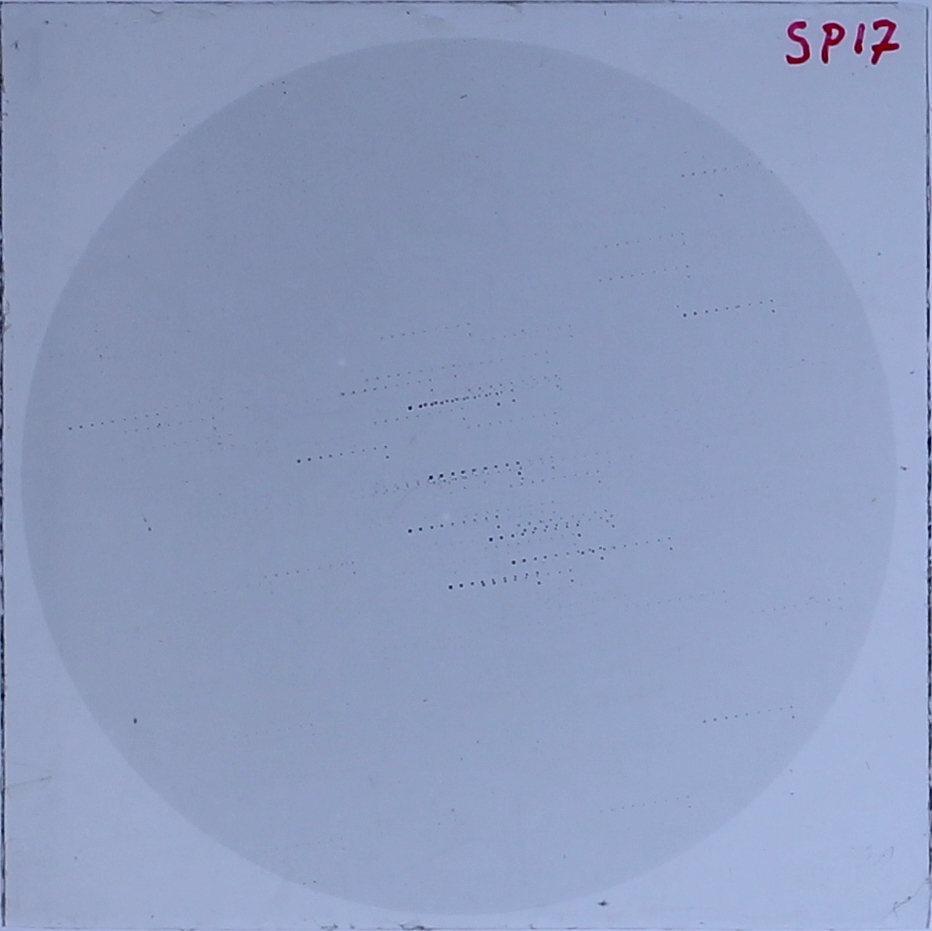 Plate preview