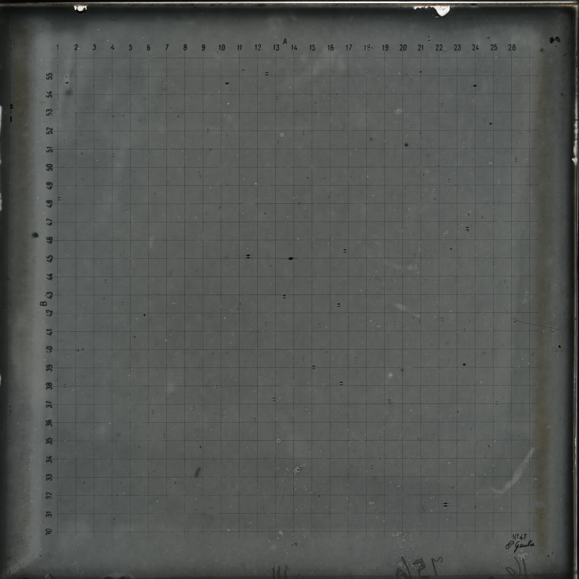 Plate preview