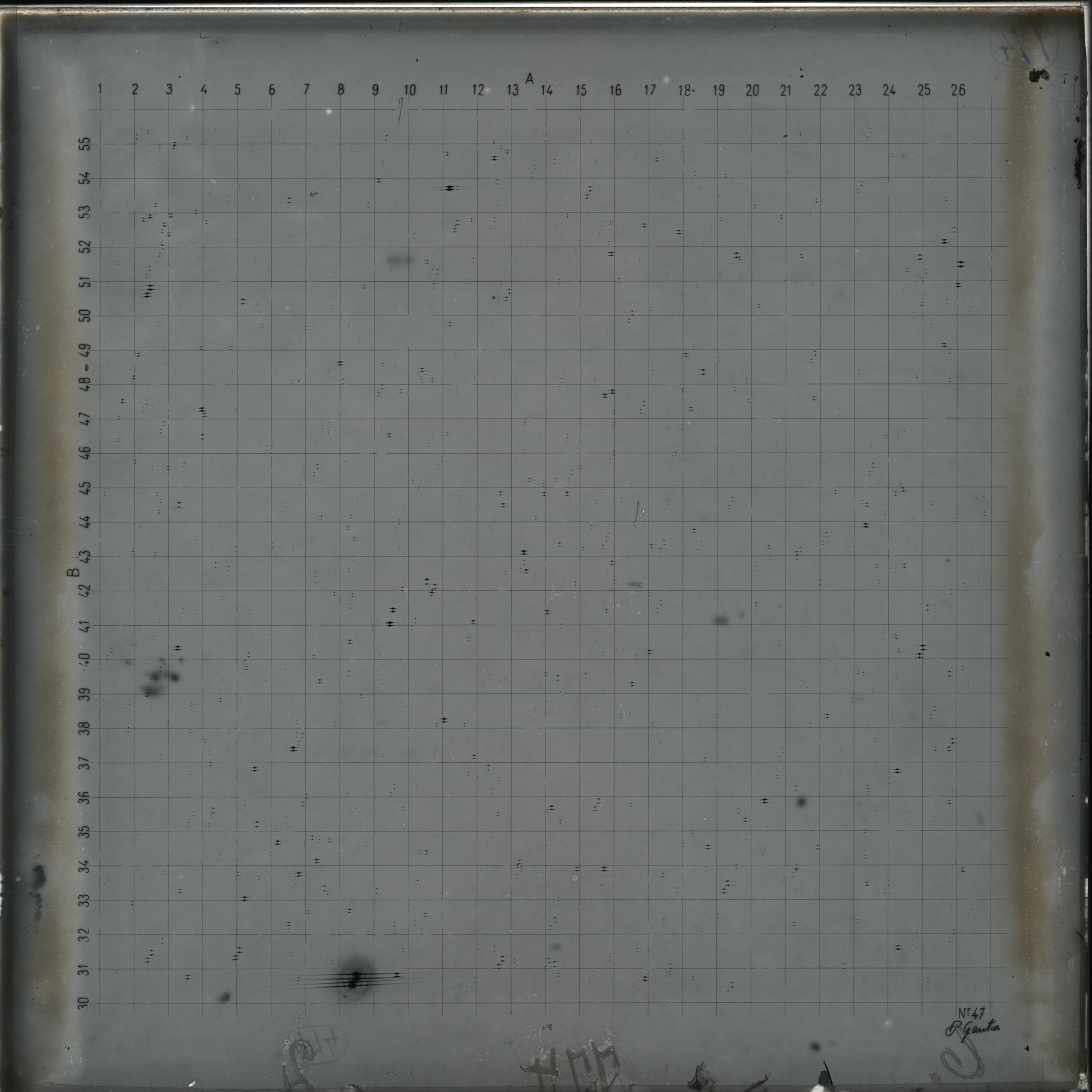 Plate preview