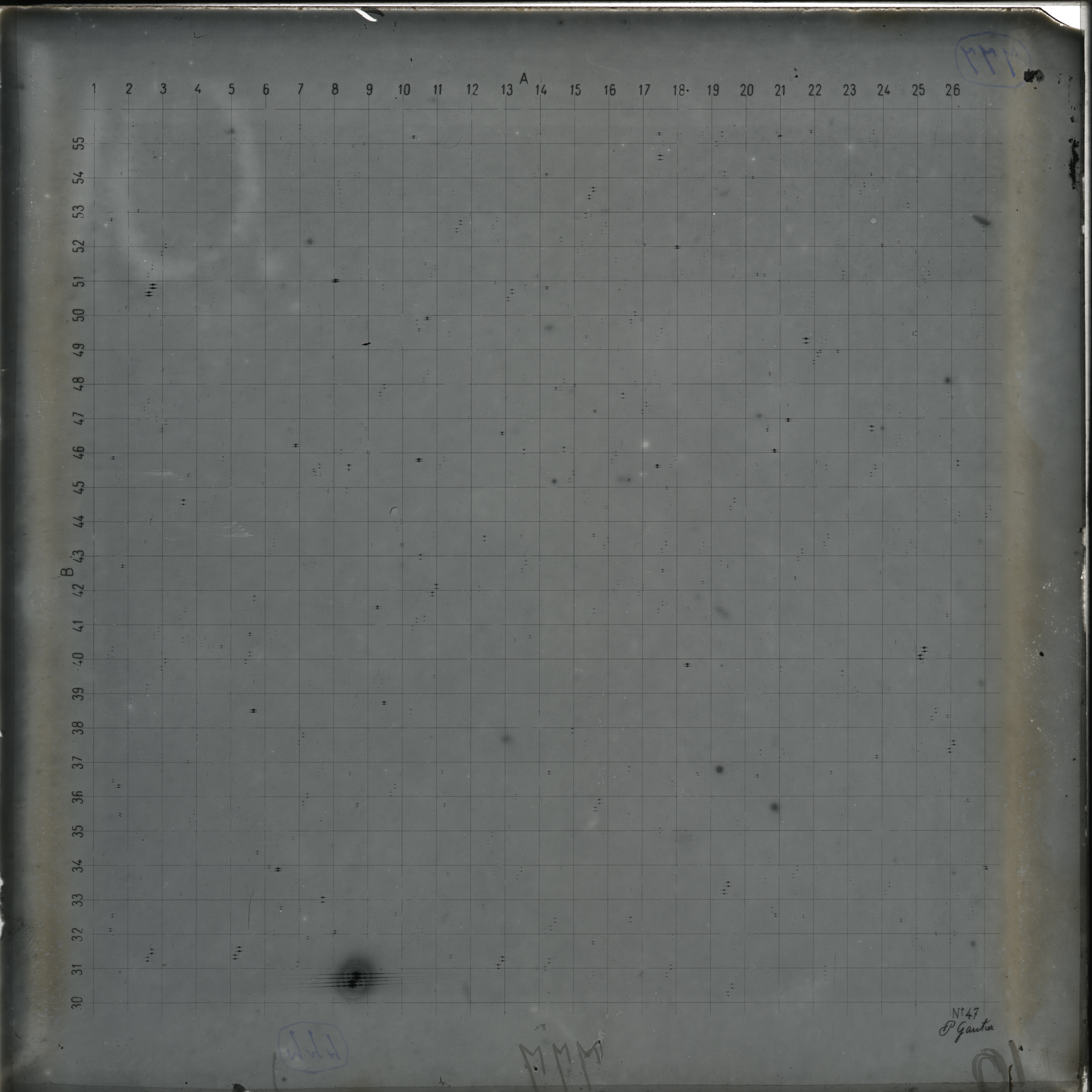 Plate preview