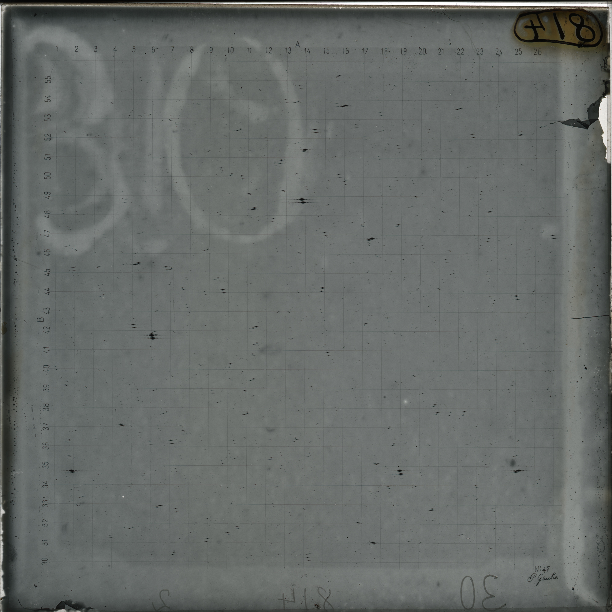 Plate preview