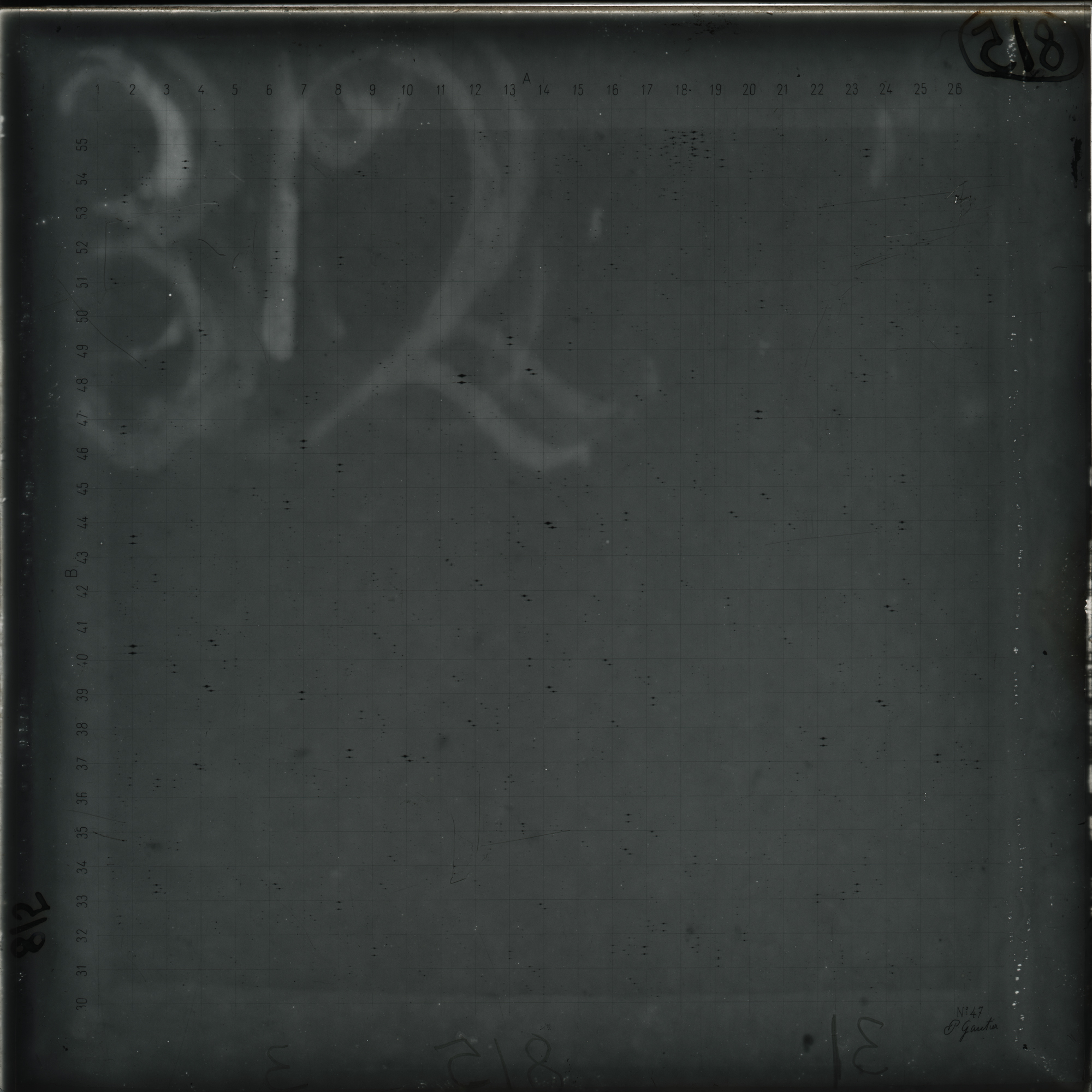 Plate preview