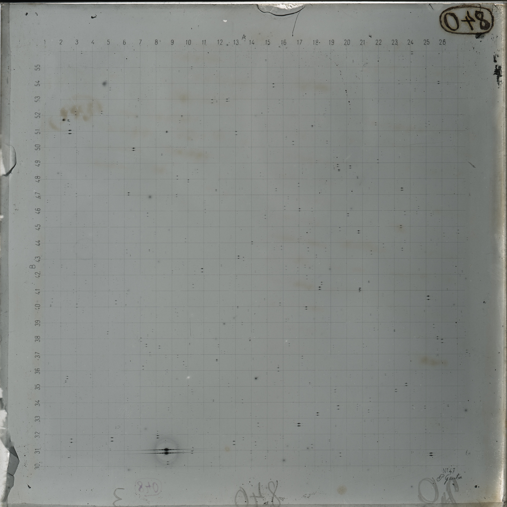 Plate preview