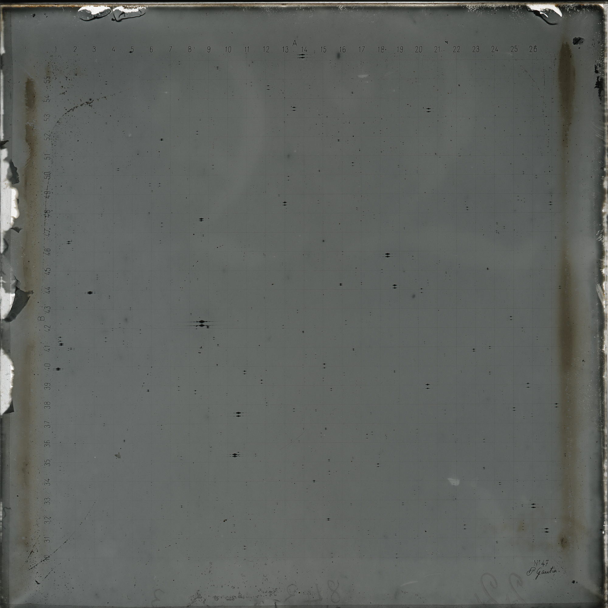 Plate preview