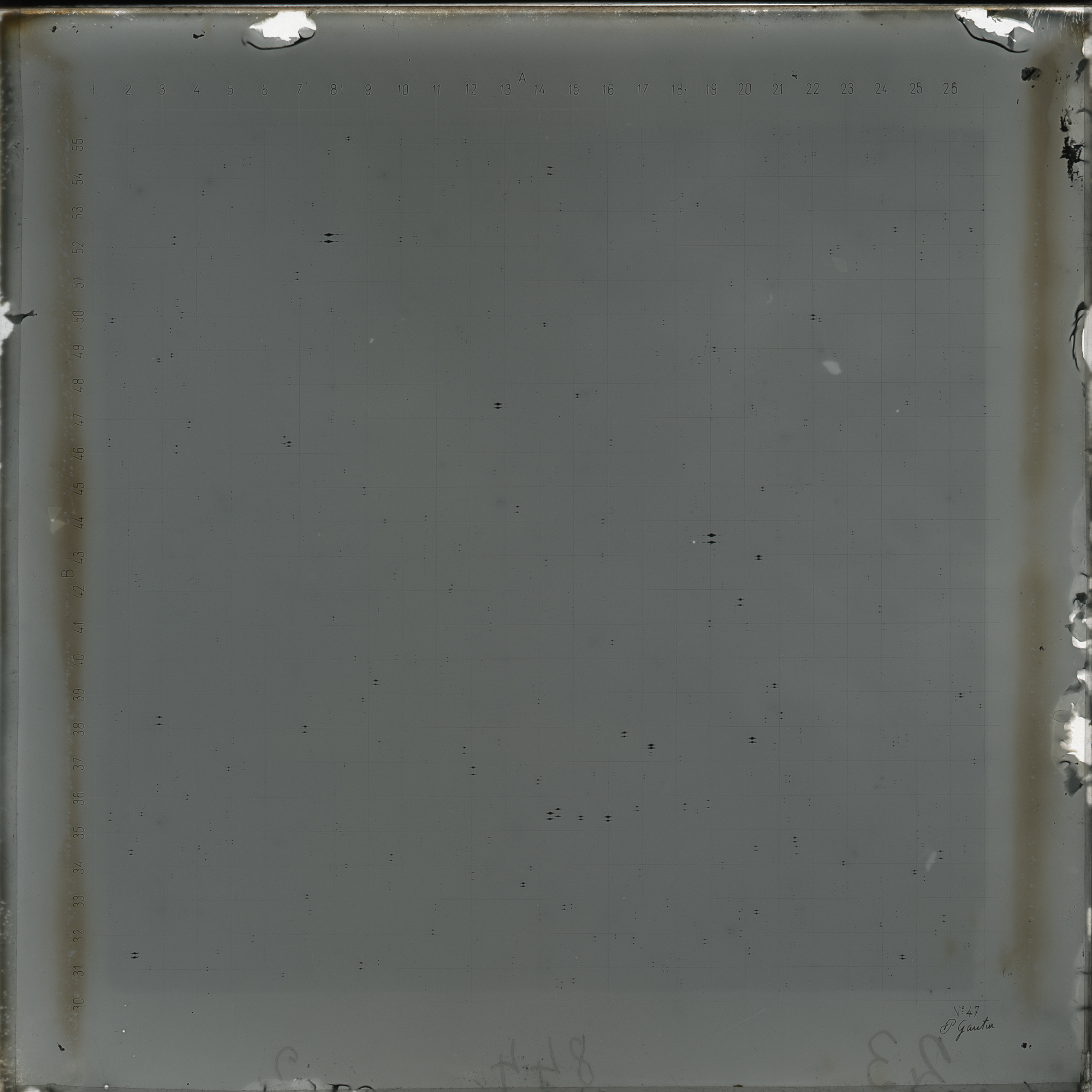 Plate preview