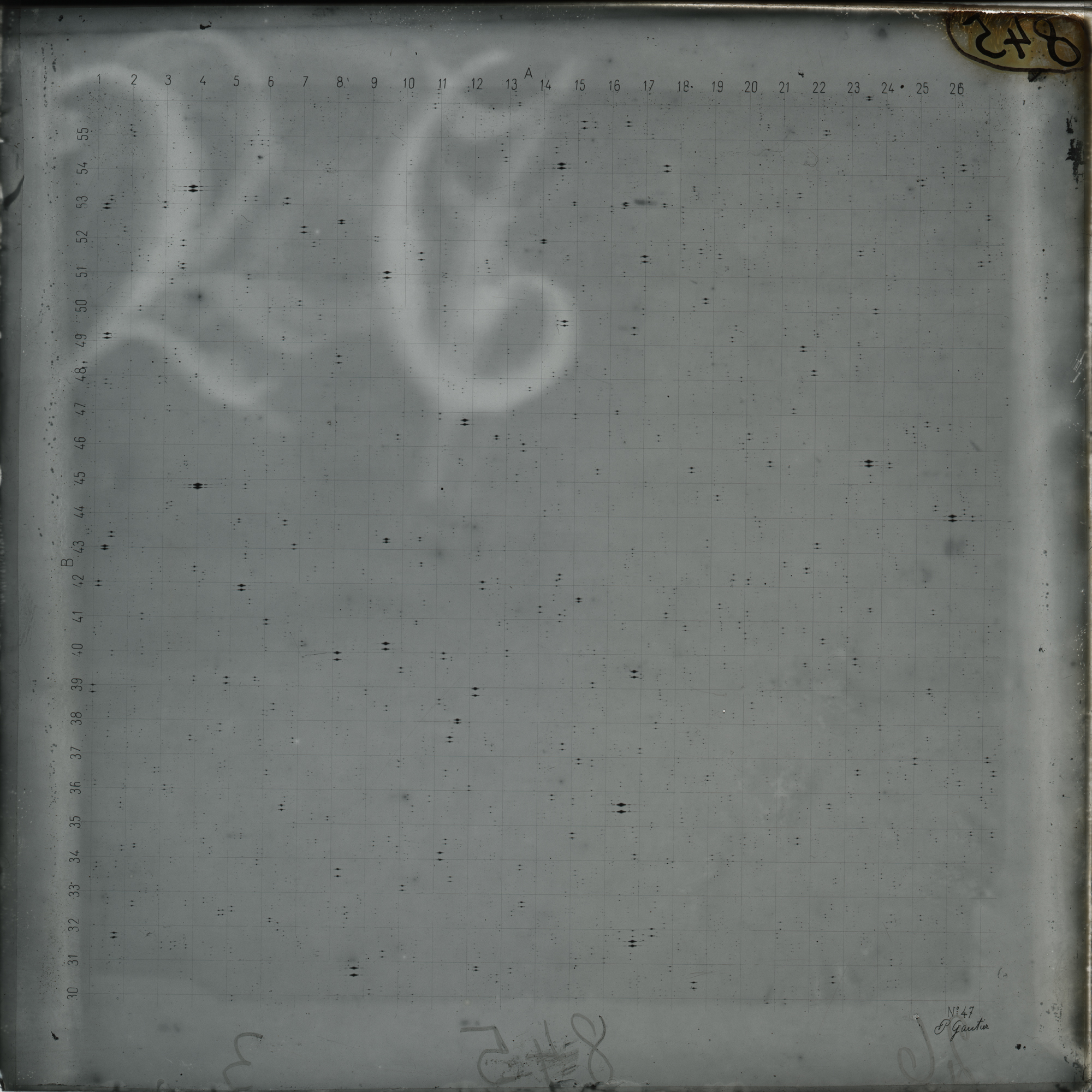 Plate preview