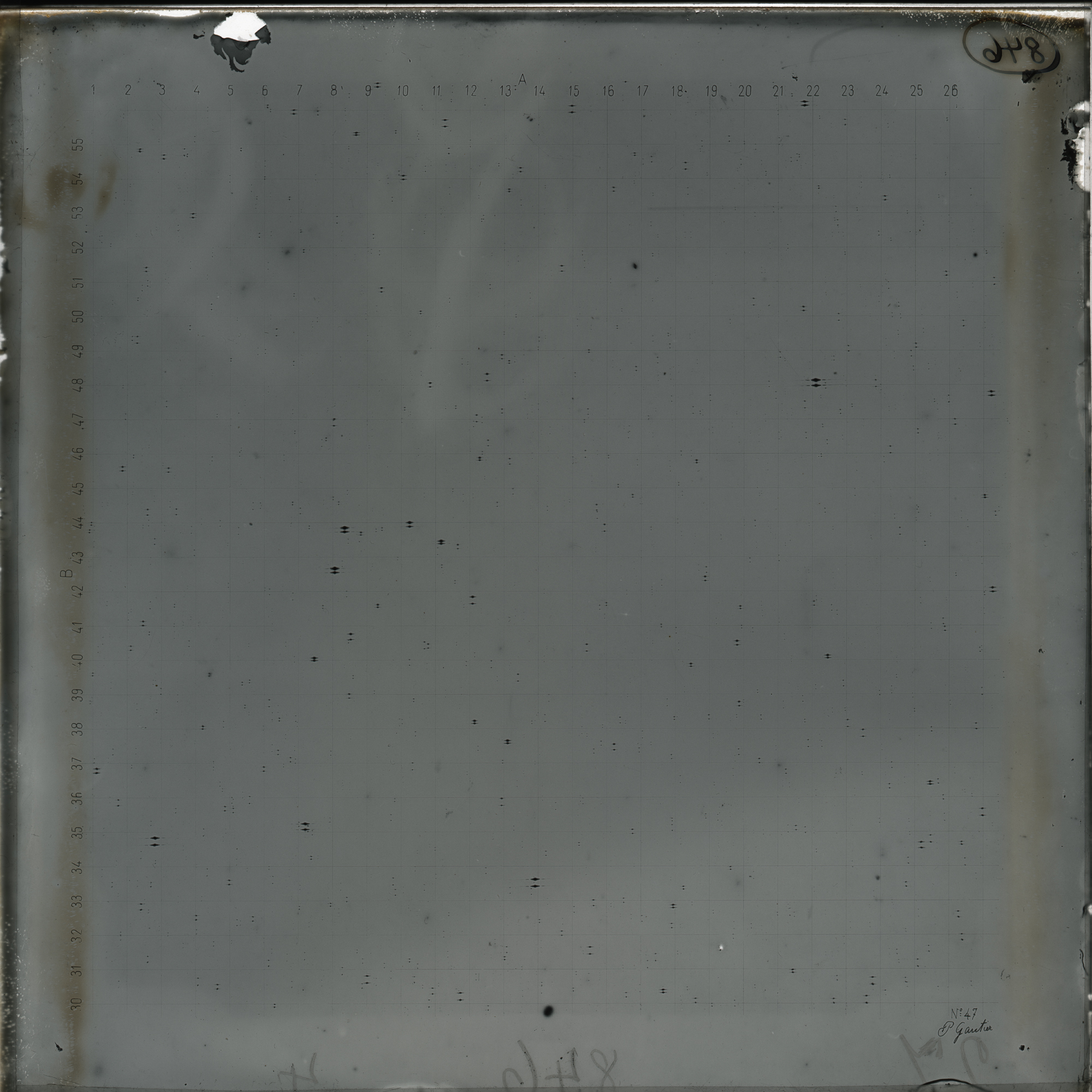 Plate preview