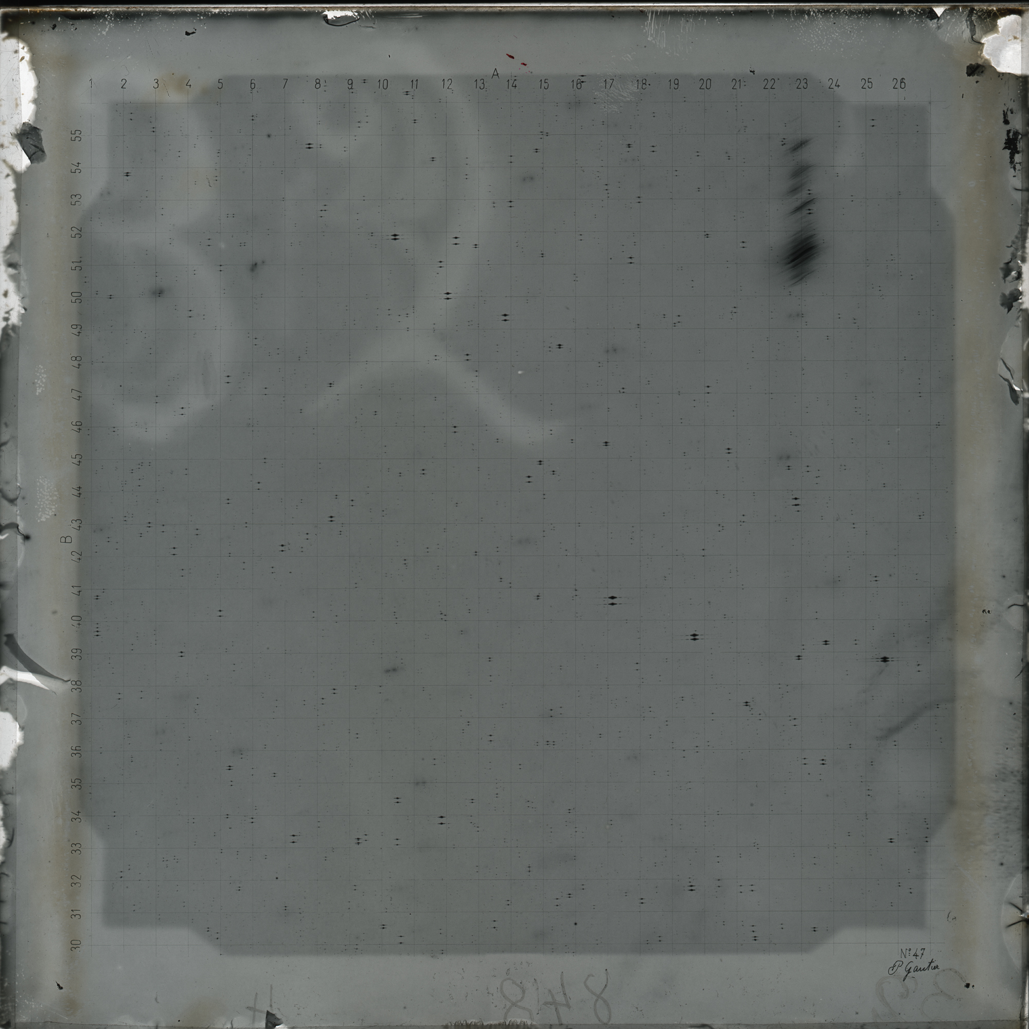 Plate preview