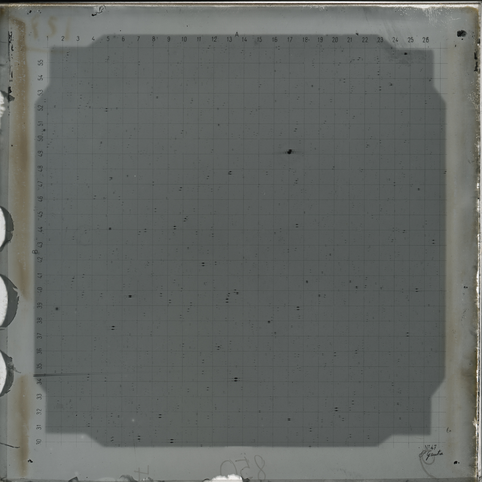 Plate preview