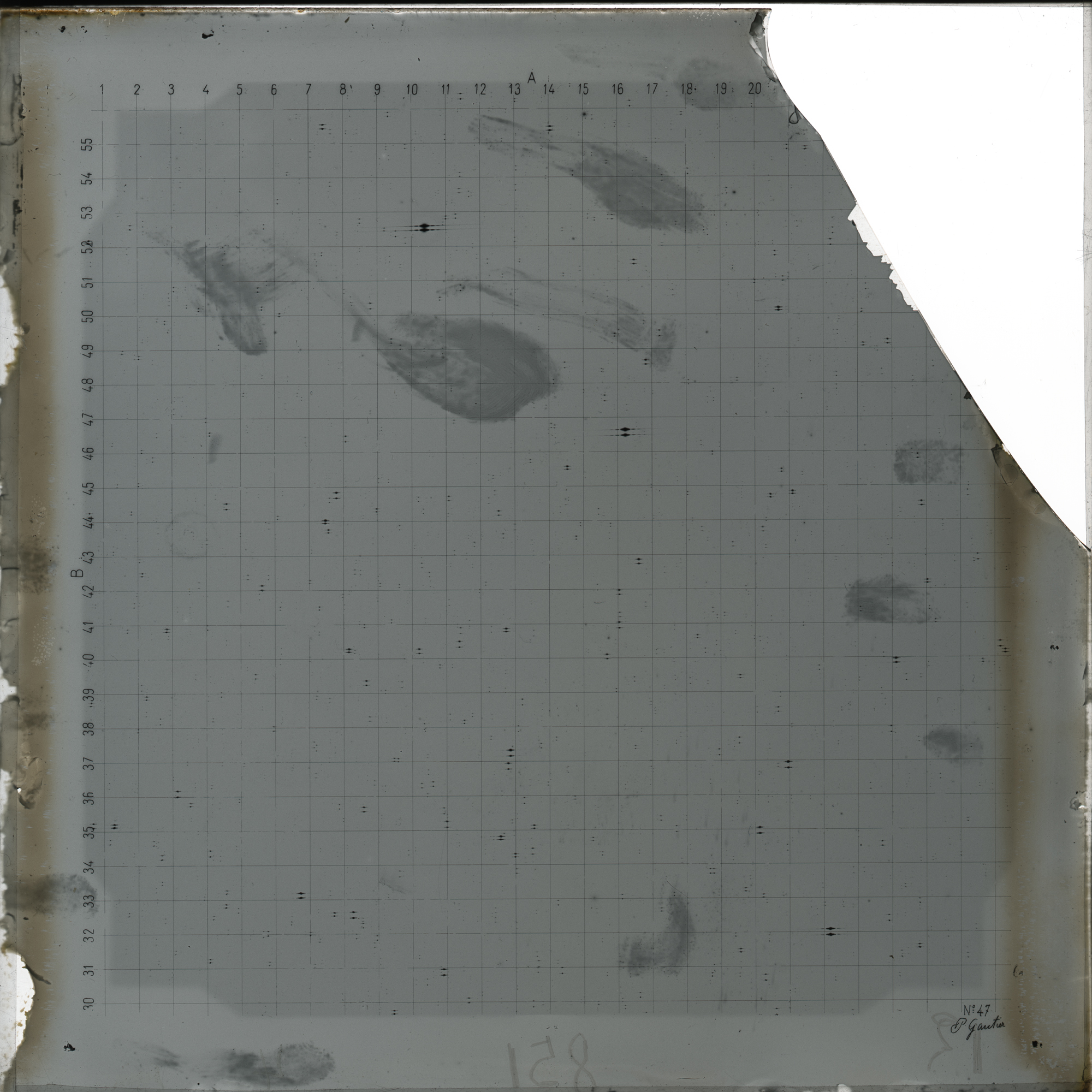 Plate preview