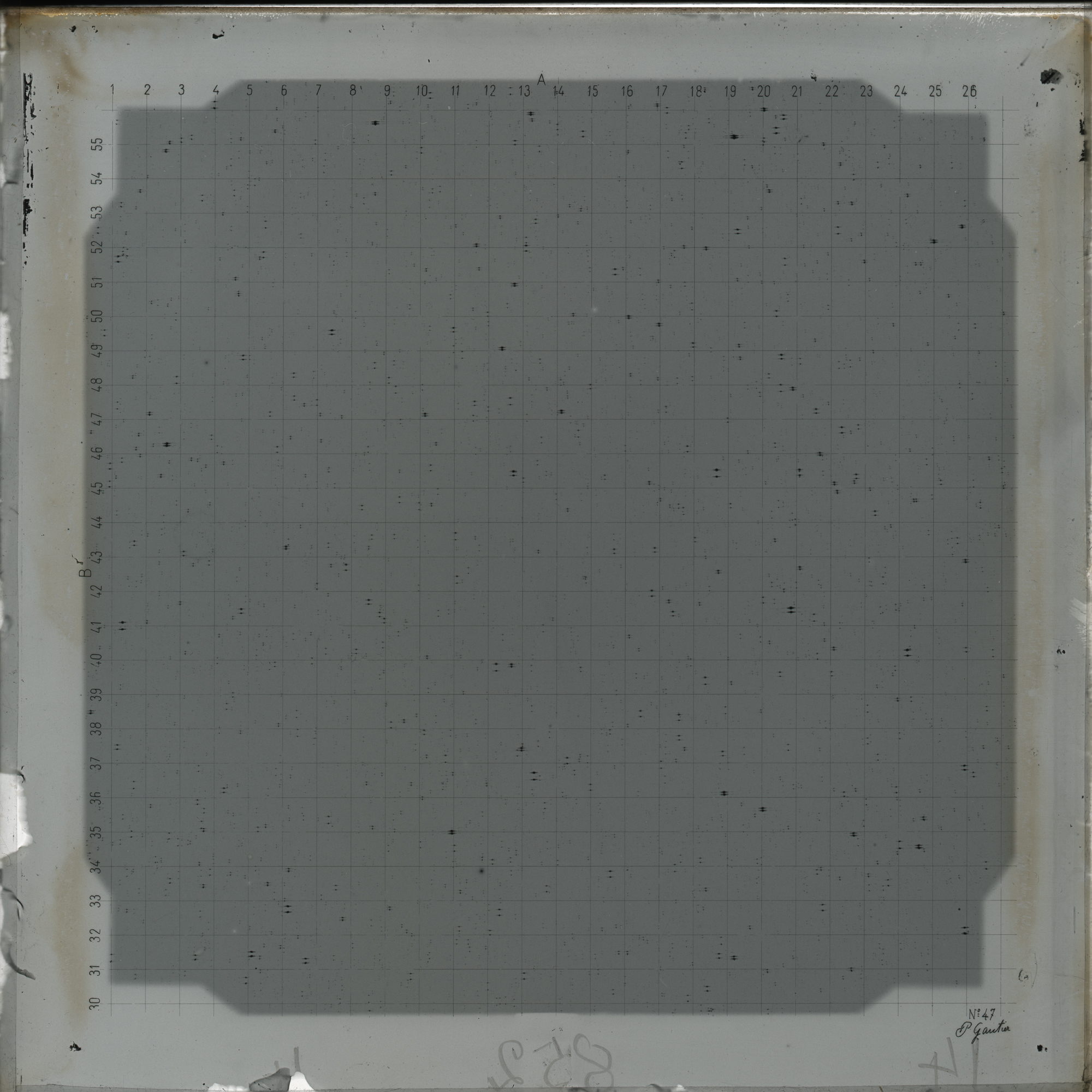 Plate preview