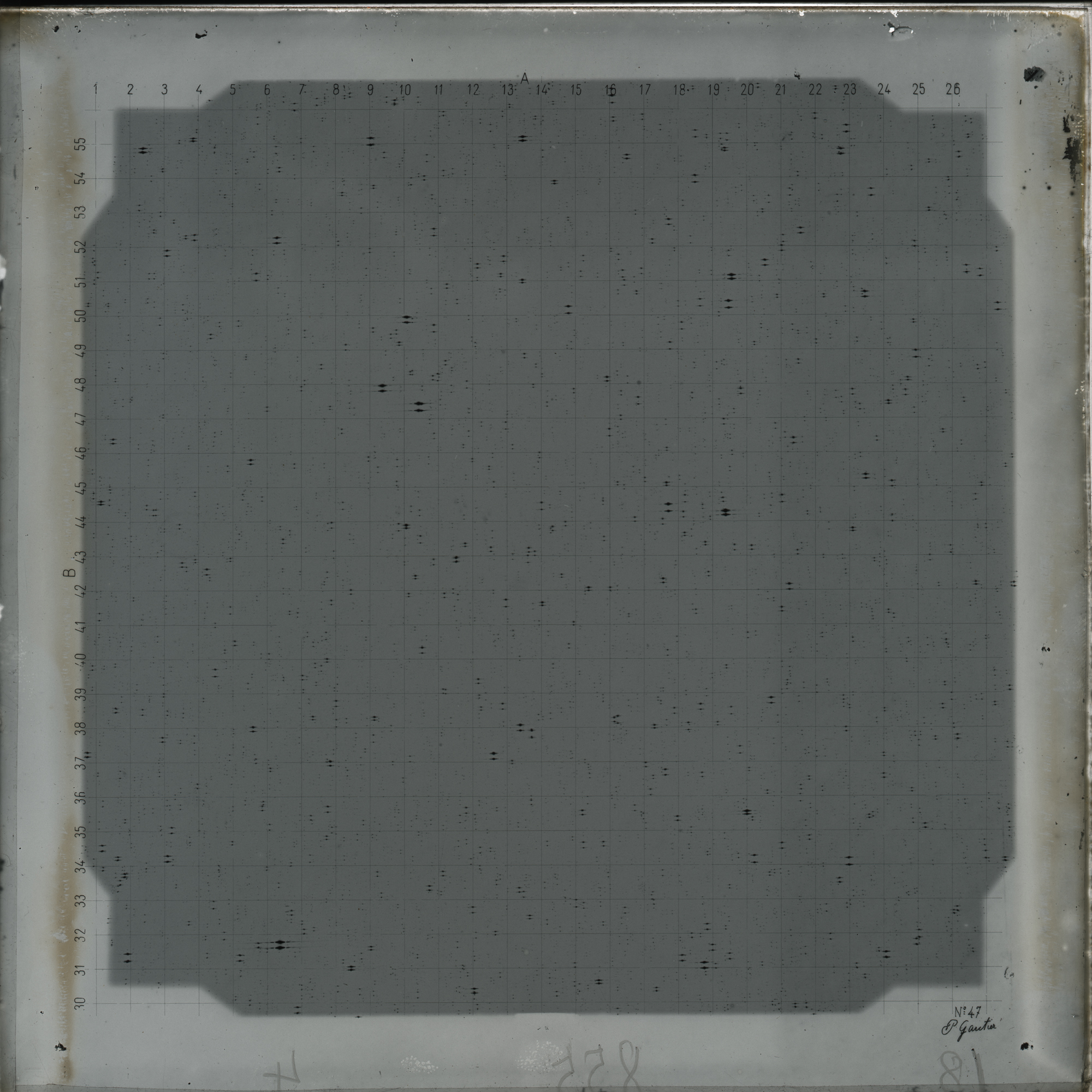 Plate preview