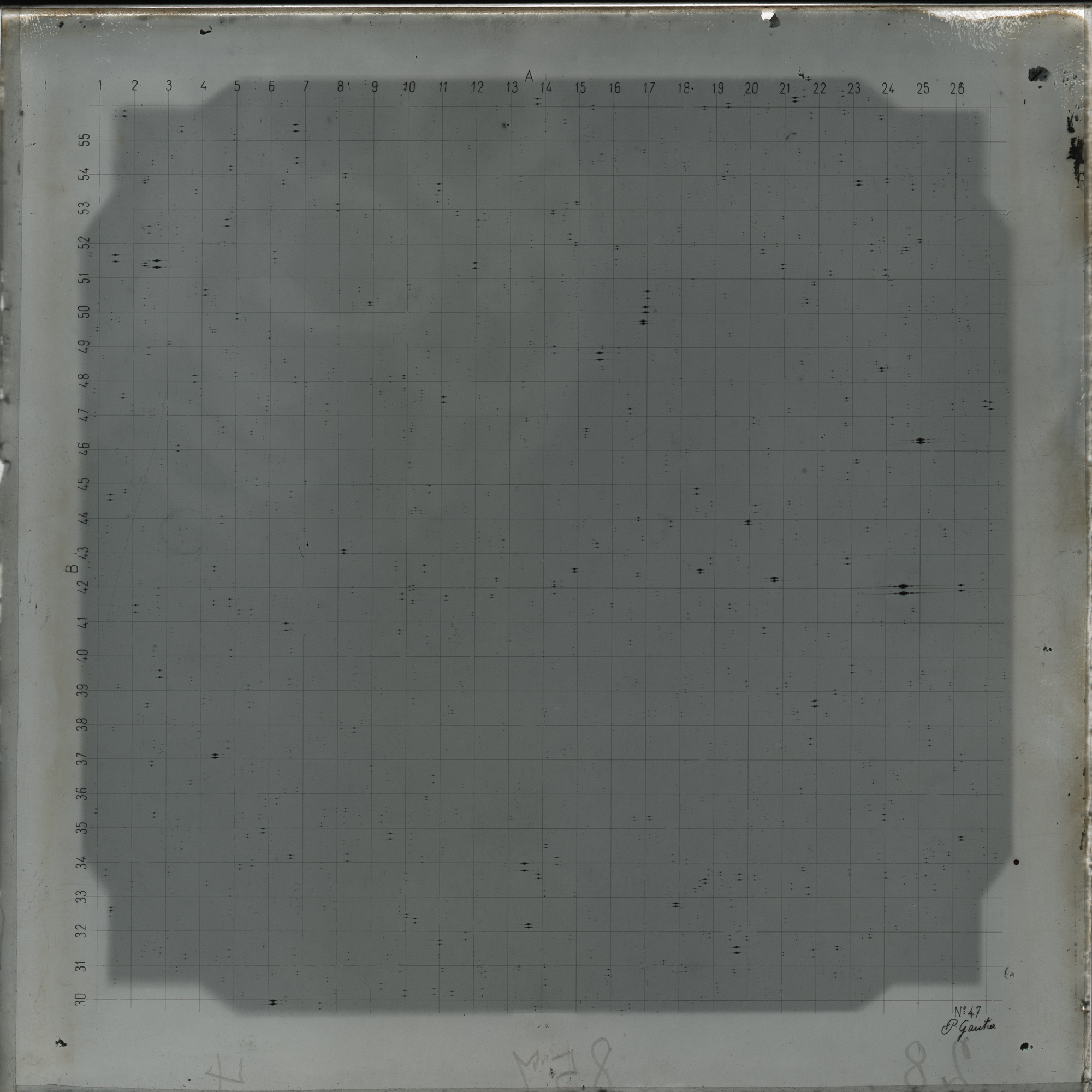 Plate preview