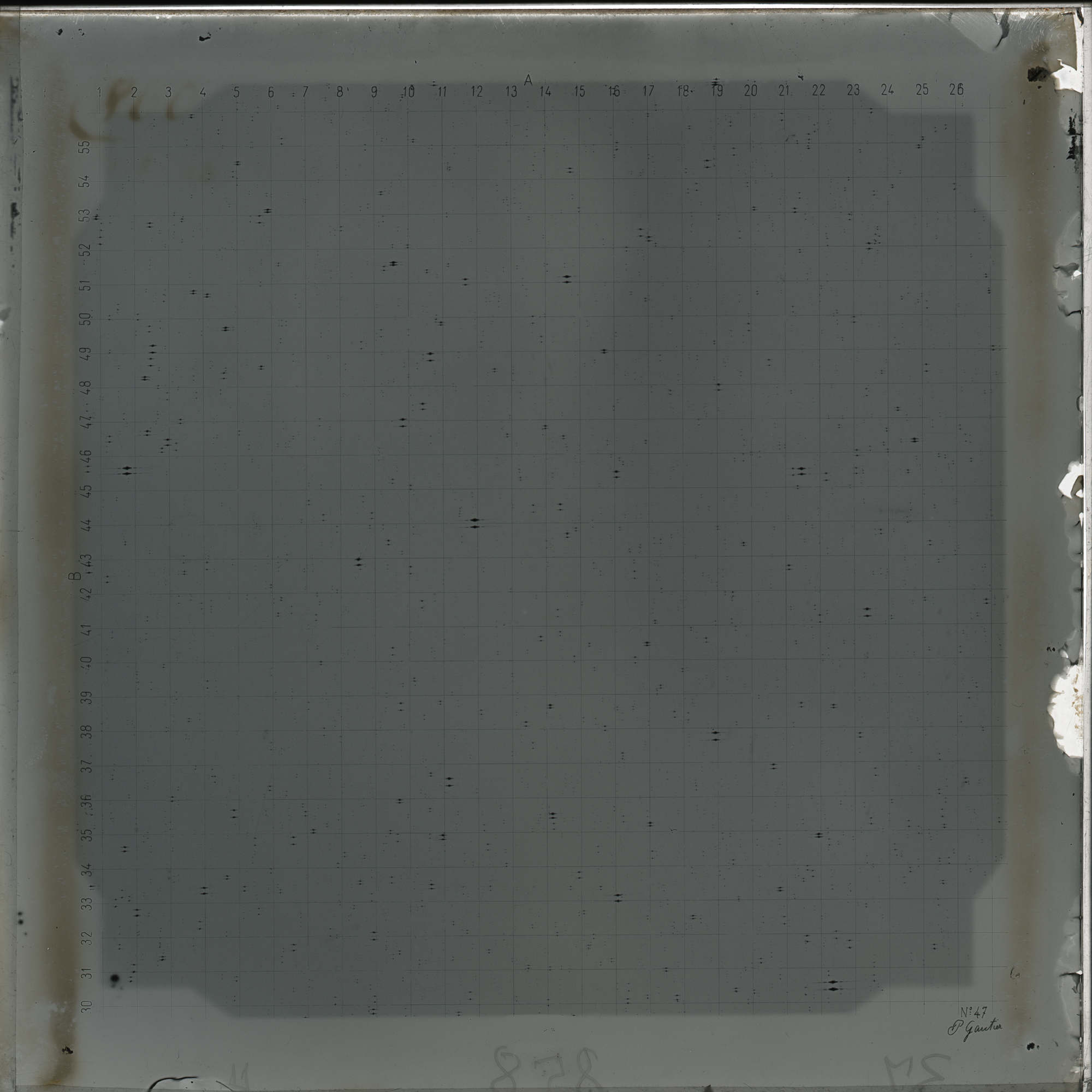 Plate preview