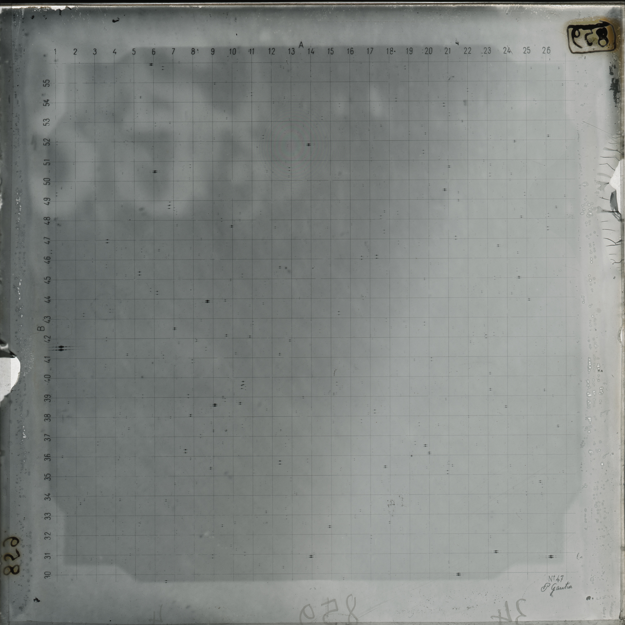 Plate preview