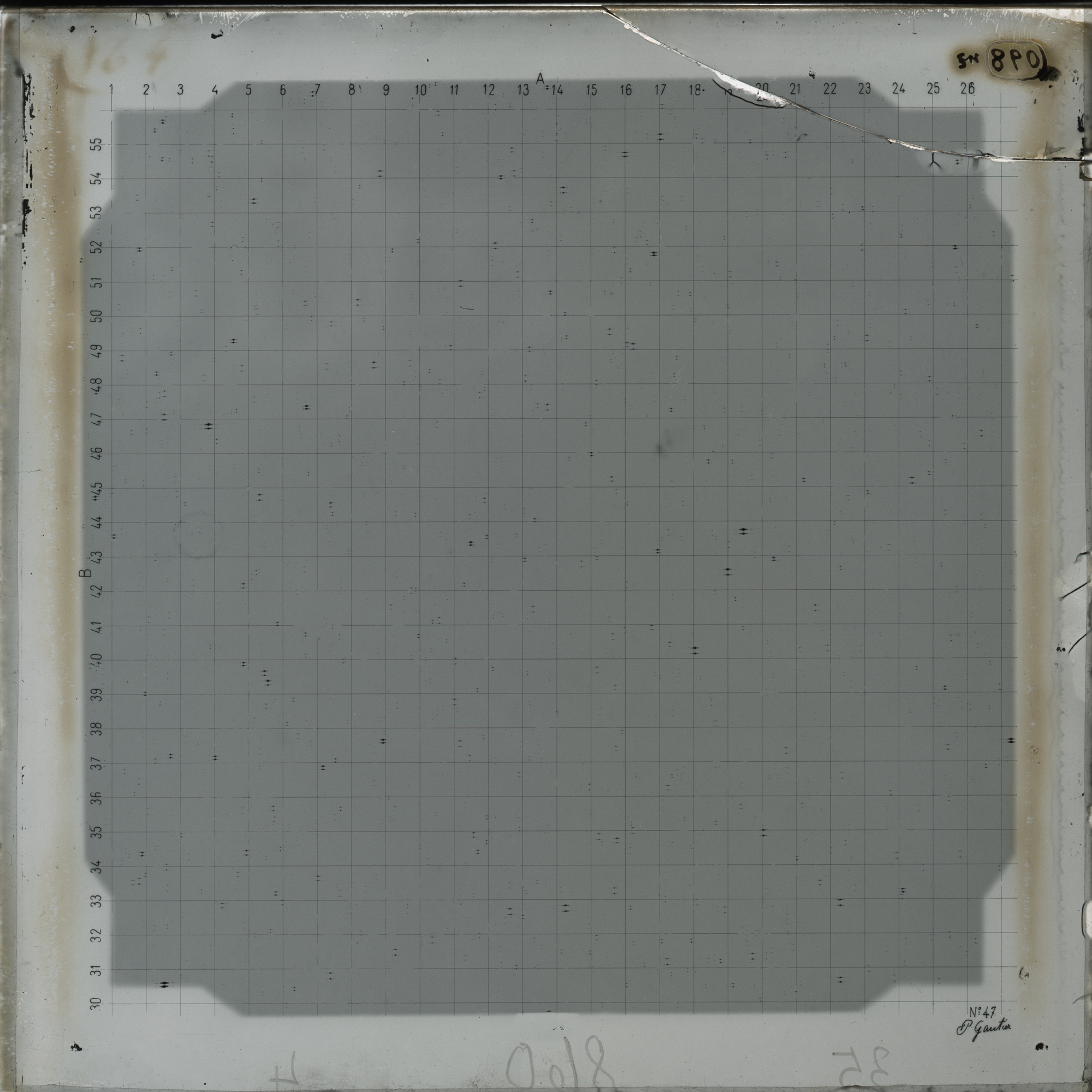 Plate preview