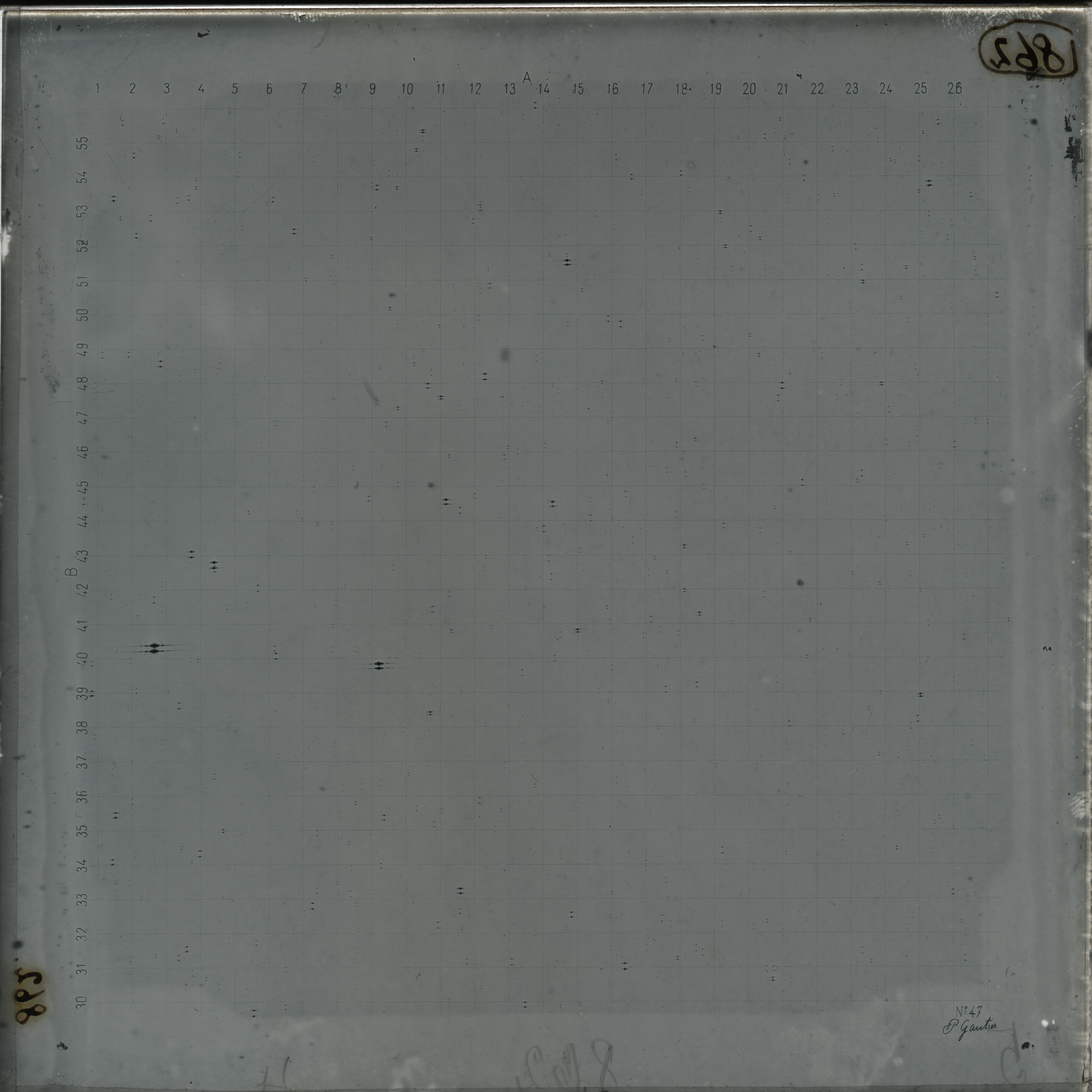 Plate preview